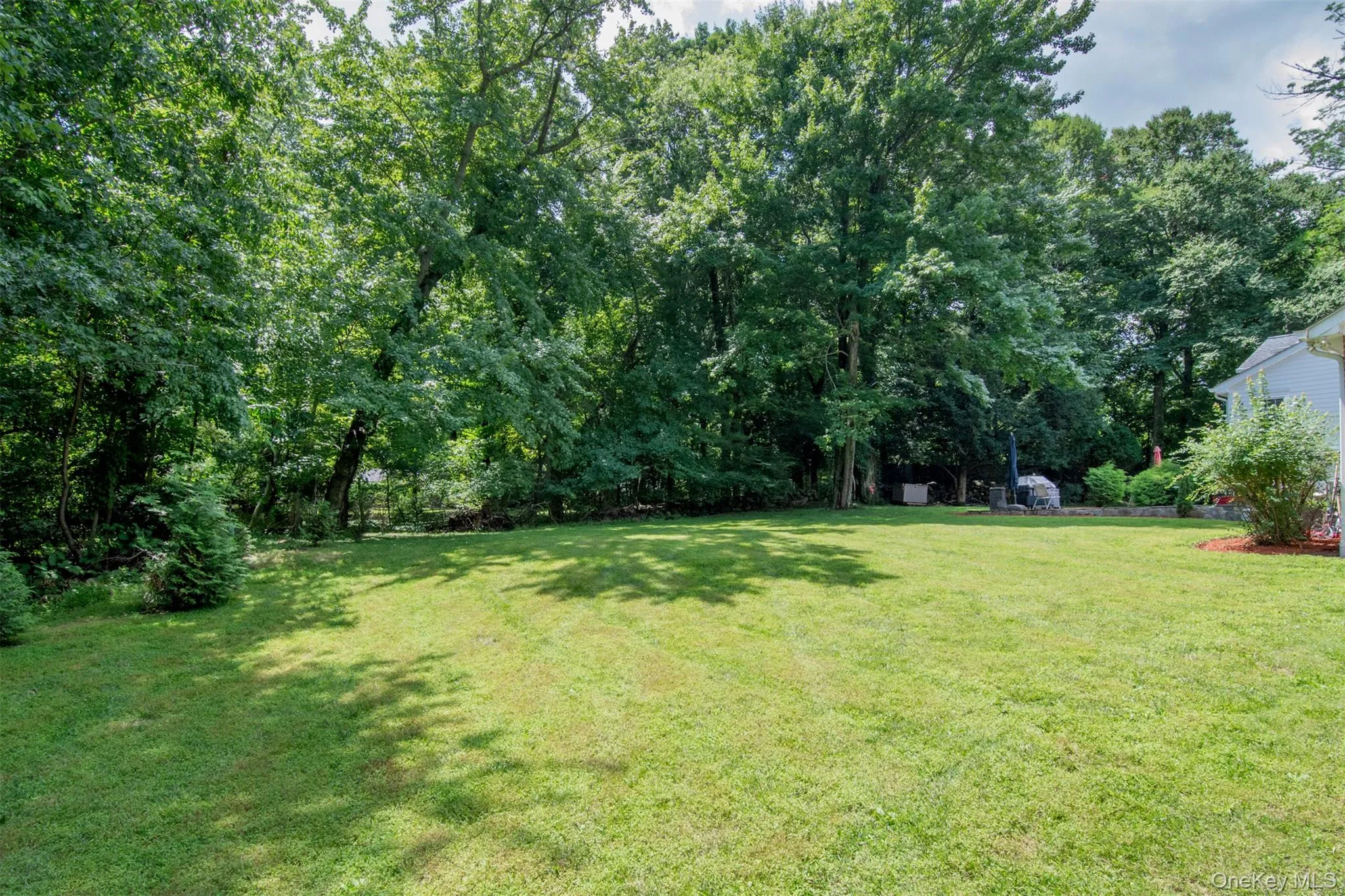 Back Yard Back Yard