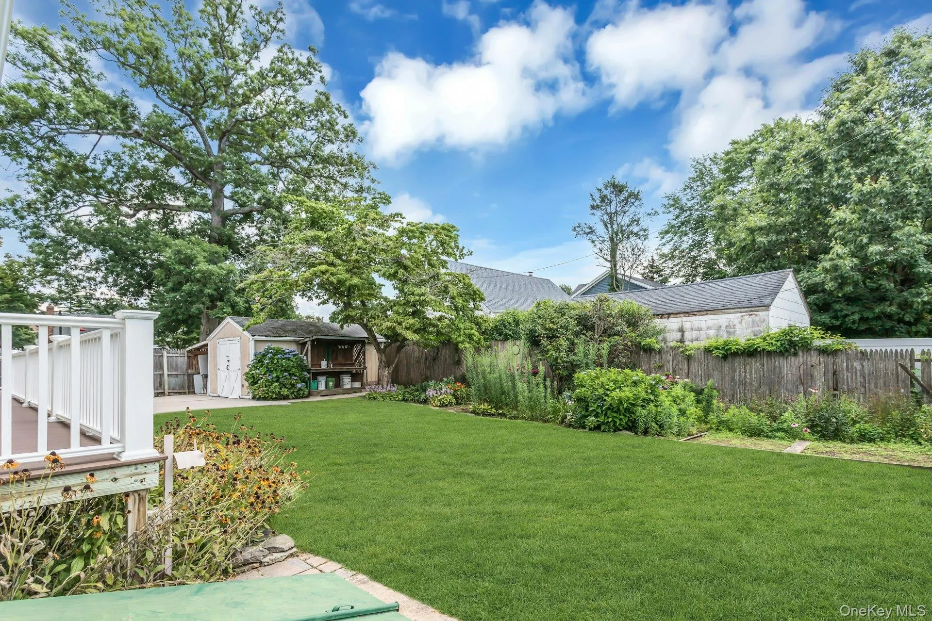 Expansive green lawn with mature trees and perimeter fencing Expansive green lawn with mature trees and perimeter fencing
