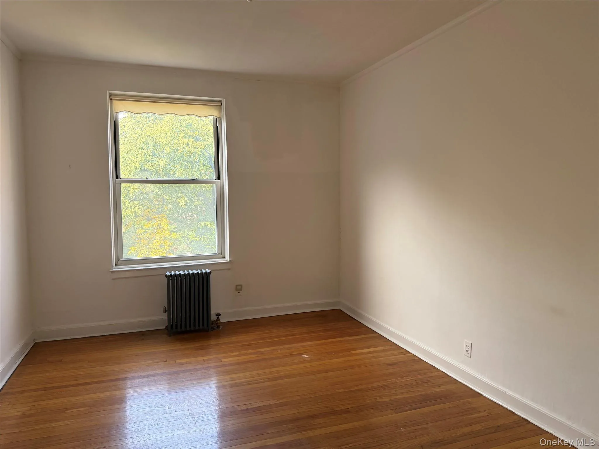 37-22 85th Street, New York, NY, 1 Bedroom Bedrooms, 4 Rooms Rooms,1 BathroomBathrooms,Residential,For Rent,85th,0,1030047 37-22 85th Street, New York, NY, 1 Bedroom Bedrooms, 4 Rooms Rooms,1 BathroomBathrooms,Residential,For Rent,85th,0,1030047
