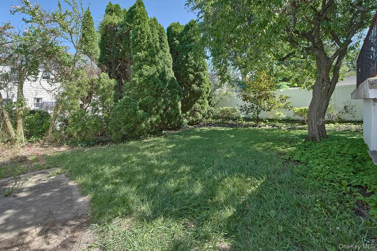 Backyard Backyard