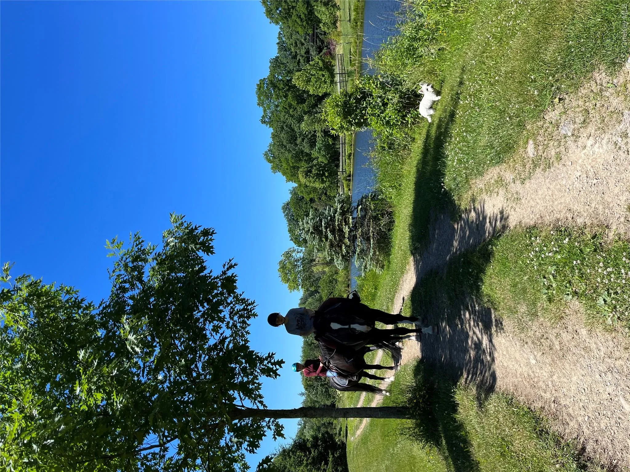 718 River Road, Montgomery, NY, 2 Bedrooms Bedrooms, 6 Rooms Rooms,2 BathroomsBathrooms,Residential Lease,For Rent,River,0,1030087 718 River Road, Montgomery, NY, 2 Bedrooms Bedrooms, 6 Rooms Rooms,2 BathroomsBathrooms,Residential Lease,For Rent,River,0,1030087