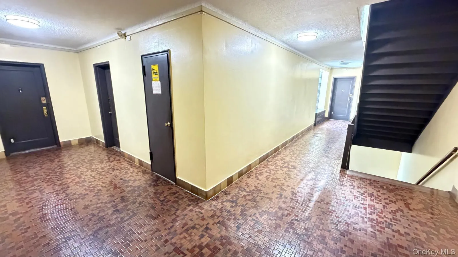 61-41 Saunders Street, New York, NY, 3 Rooms Rooms,1 BathroomBathrooms,Residential,For Rent,Saunders,0,1030156 61-41 Saunders Street, New York, NY, 3 Rooms Rooms,1 BathroomBathrooms,Residential,For Rent,Saunders,0,1030156