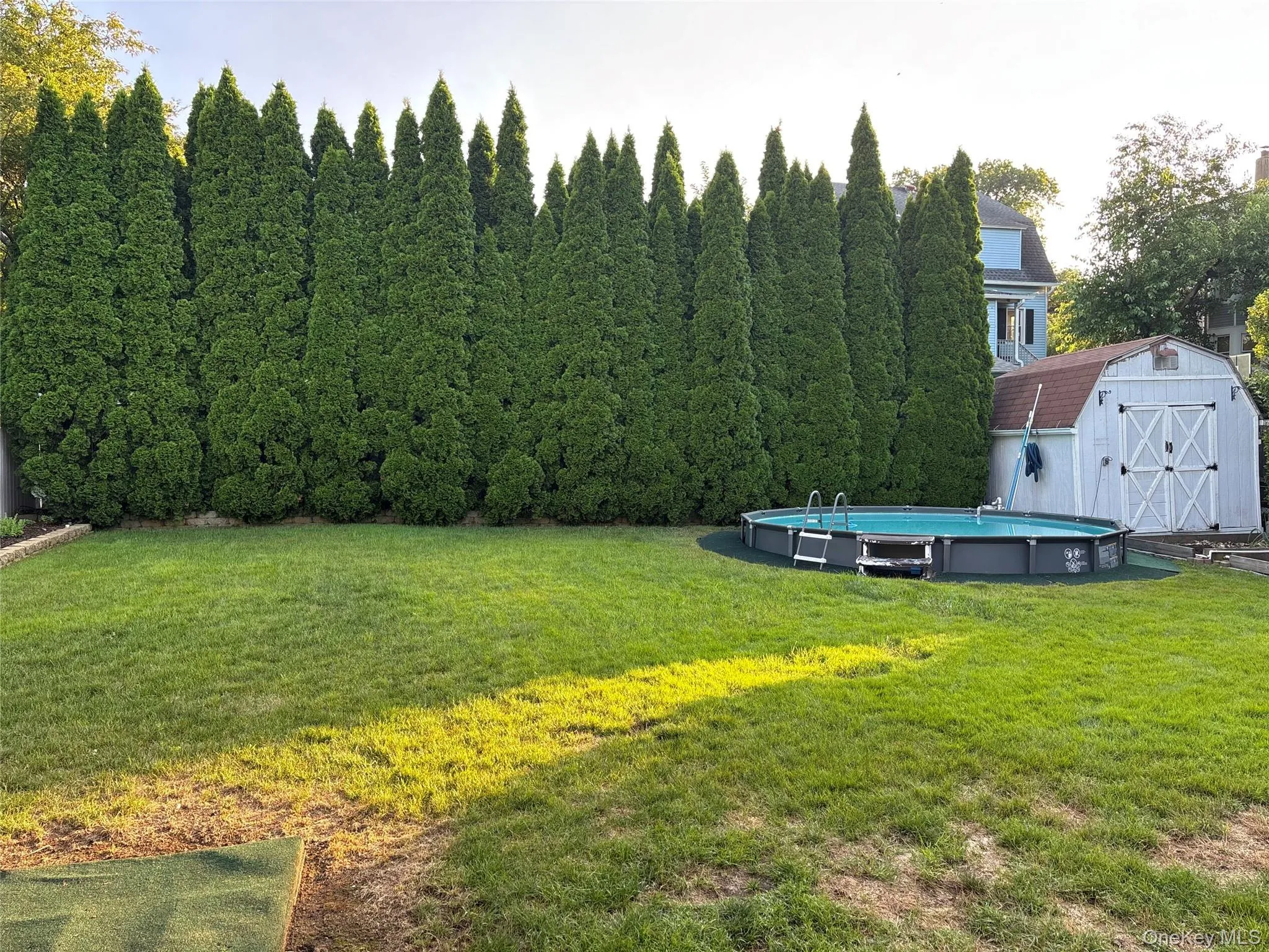 Expansive grassy lawn bordered by a mature evergreen hedge Expansive grassy lawn bordered by a mature evergreen hedge