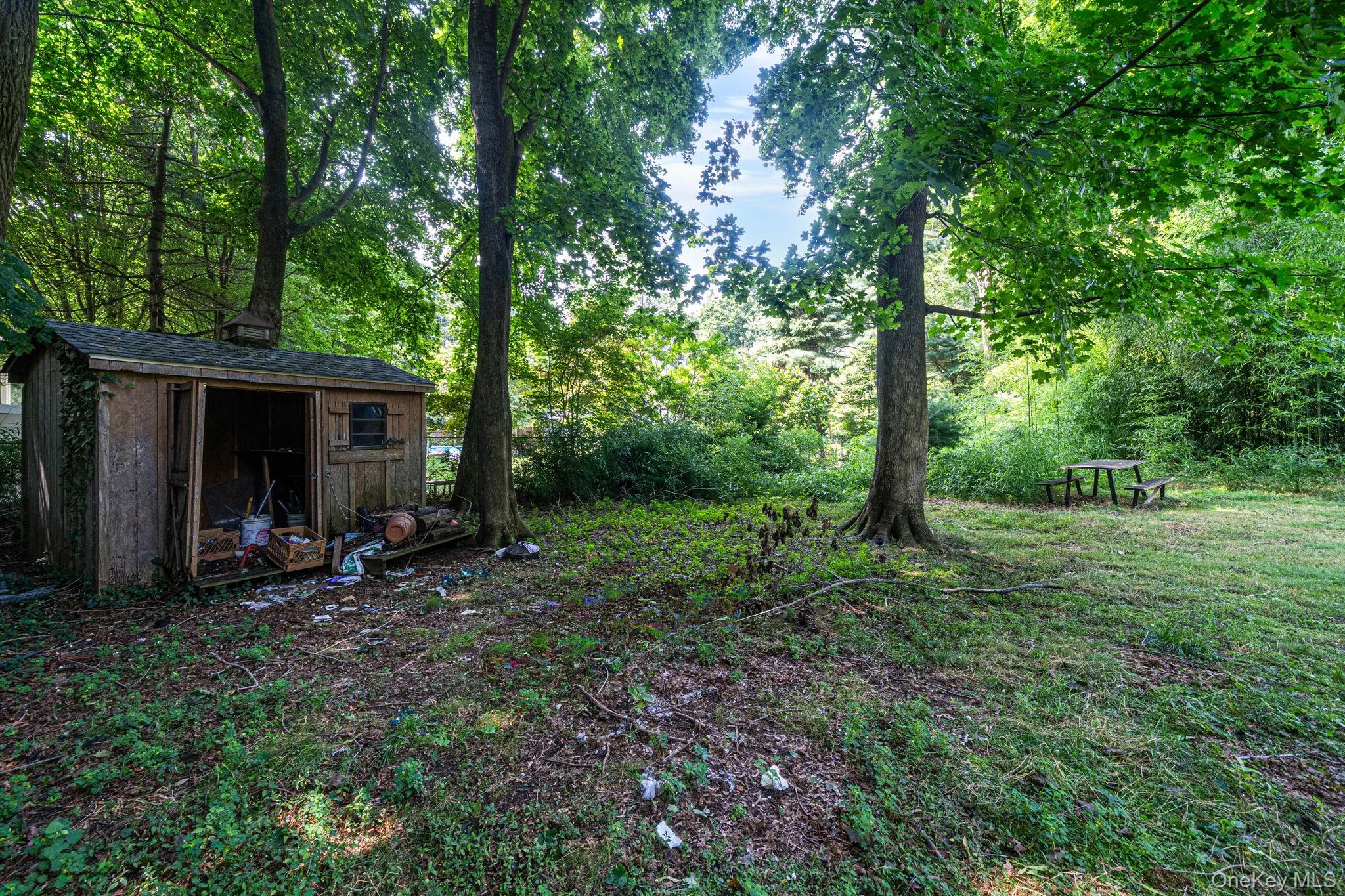 11 Radio Avenue, Brookhaven, NY, 3 Bedrooms Bedrooms, 7 Rooms Rooms,2 BathroomsBathrooms,Residential,For Rent,Radio,0,1030186 11 Radio Avenue, Brookhaven, NY, 3 Bedrooms Bedrooms, 7 Rooms Rooms,2 BathroomsBathrooms,Residential,For Rent,Radio,0,1030186