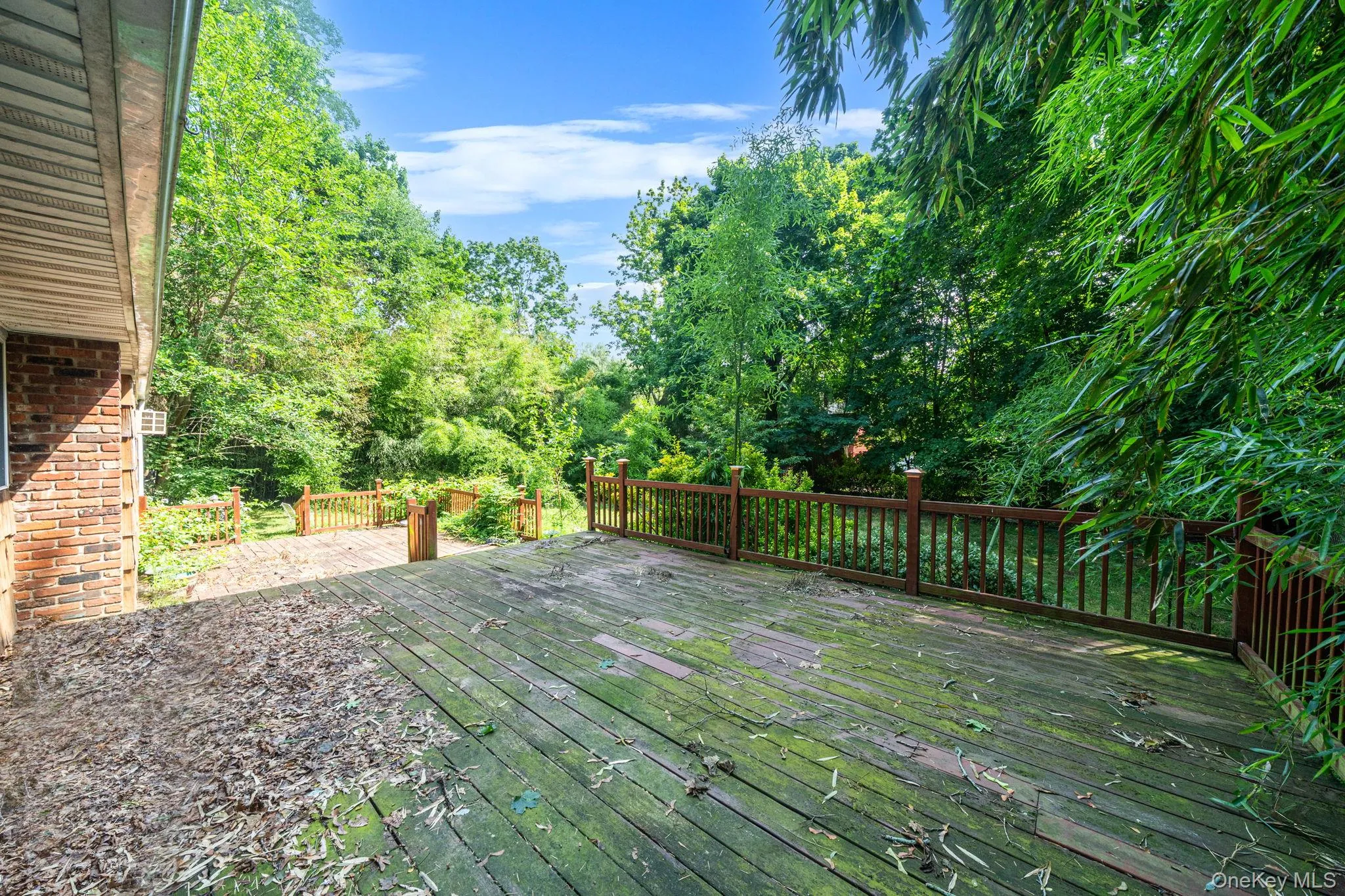 11 Radio Avenue, Brookhaven, NY, 3 Bedrooms Bedrooms, 7 Rooms Rooms,2 BathroomsBathrooms,Residential,For Rent,Radio,0,1030186 11 Radio Avenue, Brookhaven, NY, 3 Bedrooms Bedrooms, 7 Rooms Rooms,2 BathroomsBathrooms,Residential,For Rent,Radio,0,1030186