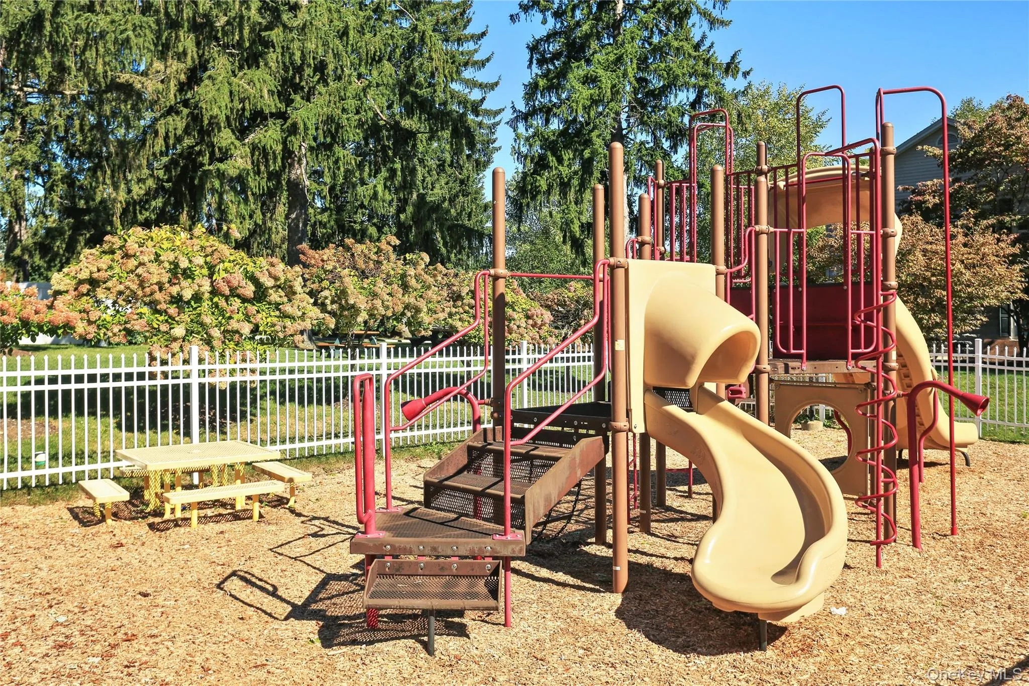 Bring the kids and grandkids for some jungle gym fun! Bring the kids and grandkids for some jungle gym fun!