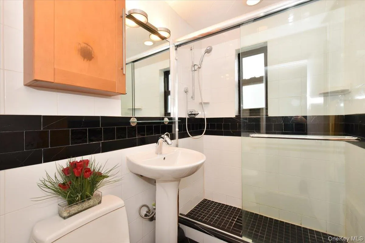 Step-In Shower with Window Step-In Shower with Window