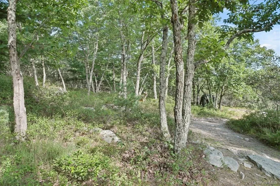 Variety of trees. You ll love to watch the deer that visits Variety of trees. You ll love to watch the deer that visits