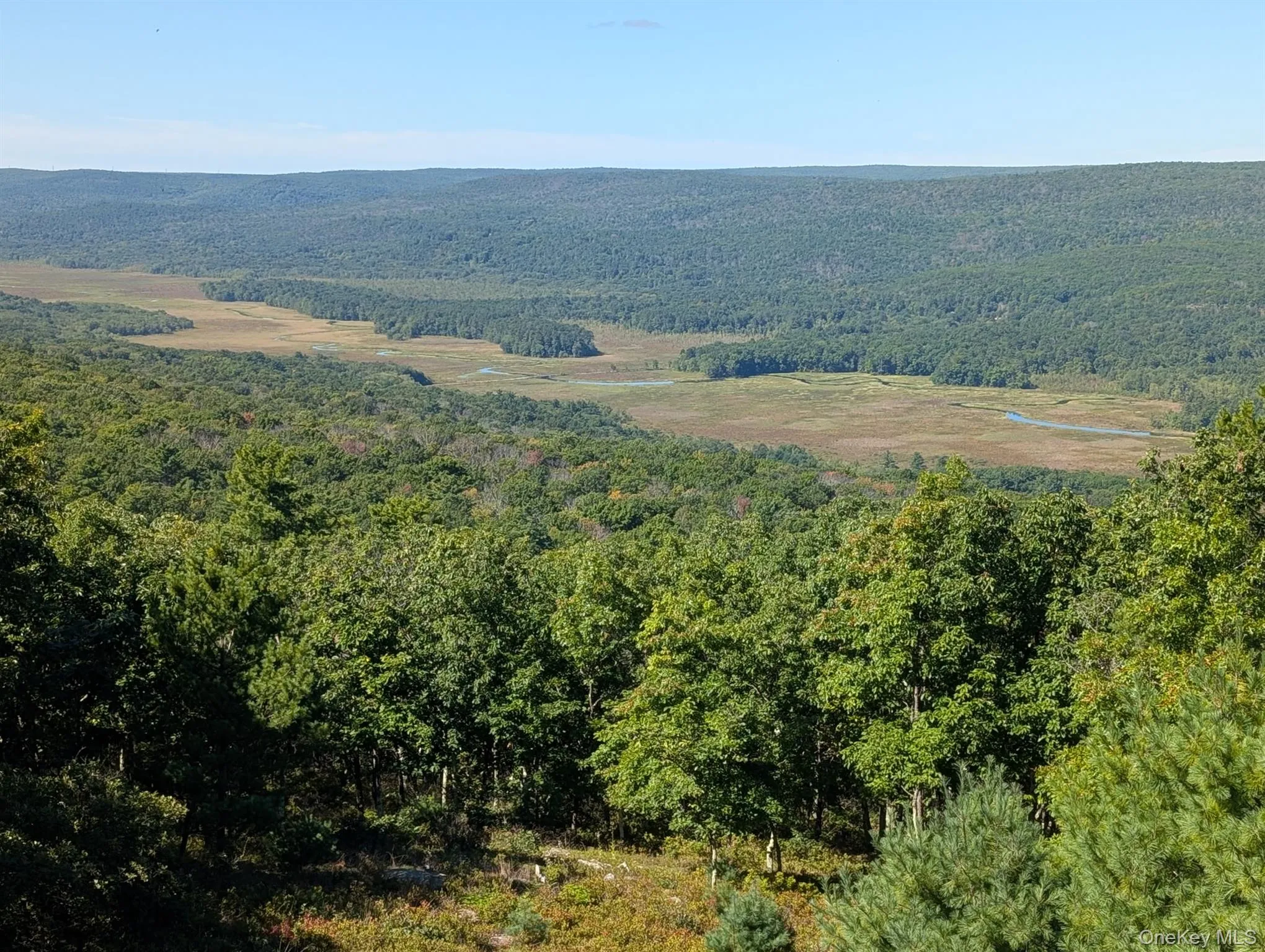 96 Treetops Trail, Mamakating, NY, 2 Bedrooms Bedrooms, 5 Rooms Rooms,1 BathroomBathrooms,Residential,For Rent,Treetops,0,1030262 96 Treetops Trail, Mamakating, NY, 2 Bedrooms Bedrooms, 5 Rooms Rooms,1 BathroomBathrooms,Residential,For Rent,Treetops,0,1030262
