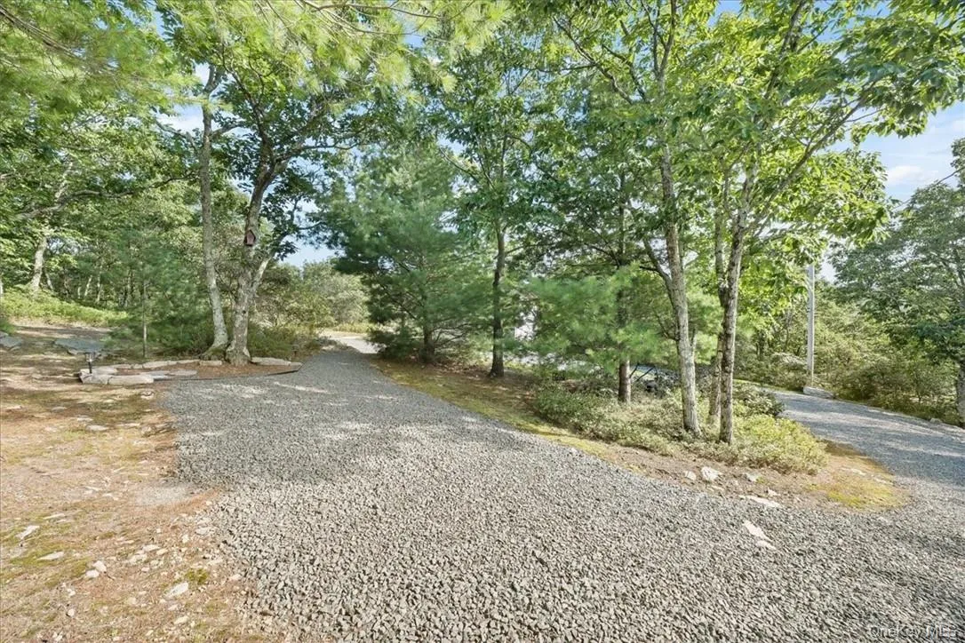 Trees offer Shade & Breezes Plenty of room for Parking in the DRIVEWAY Trees offer Shade & Breezes Plenty of room for Parking in the DRIVEWAY