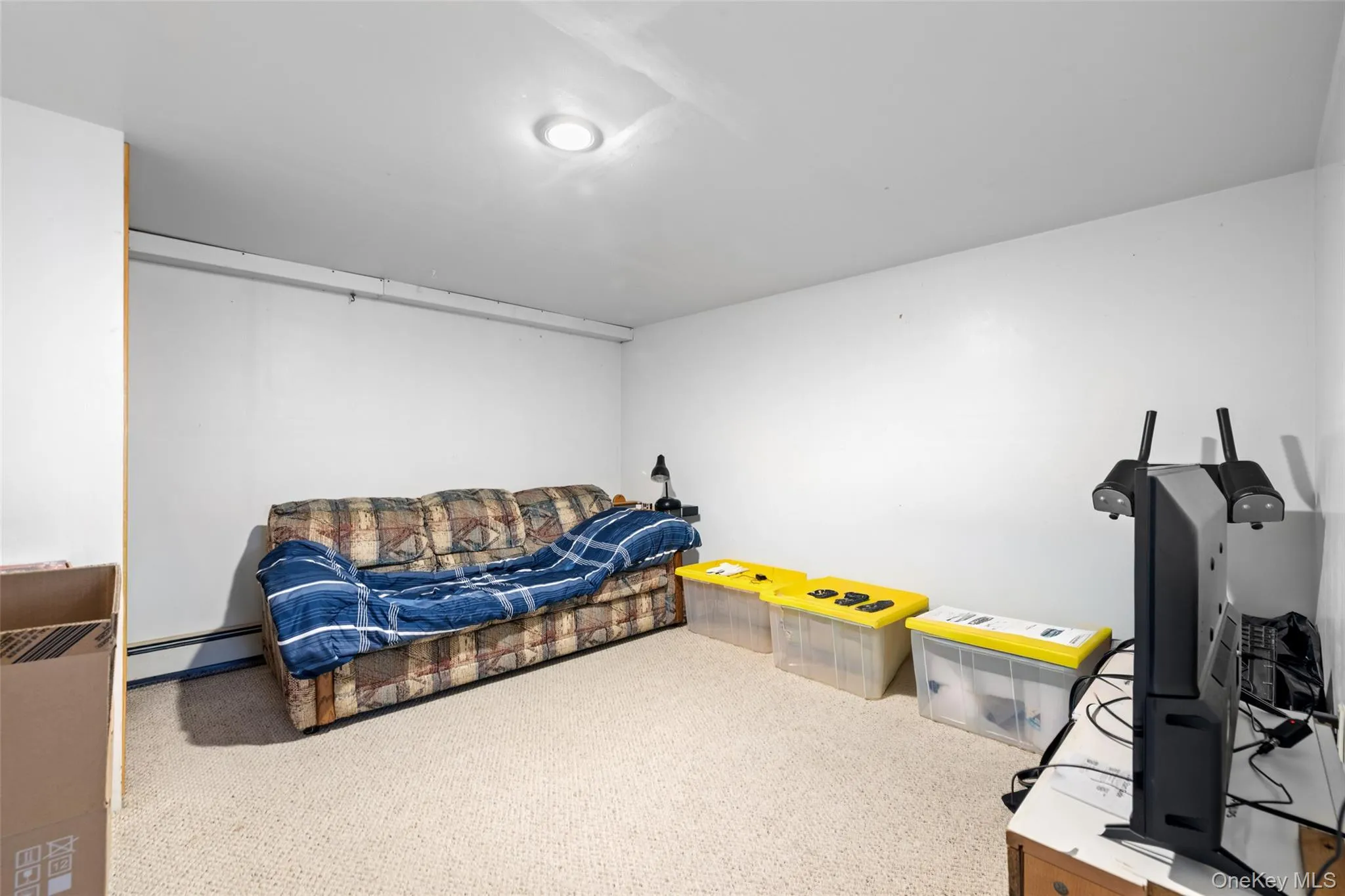 Entertainment Basement Entertainment Basement
