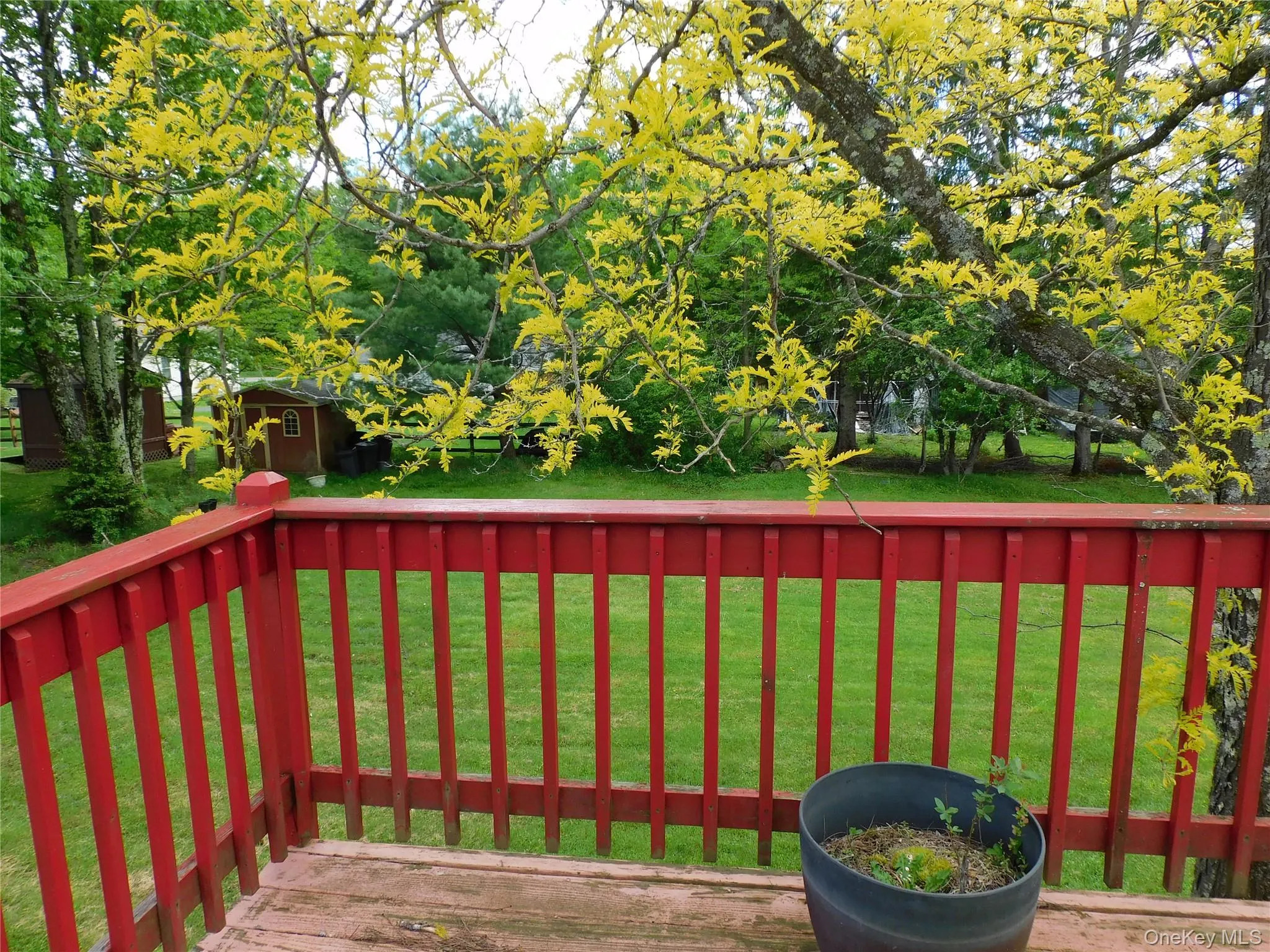 30 Kelly Avenue, Liberty, NY, 3 Bedrooms Bedrooms, 5 Rooms Rooms,2 BathroomsBathrooms,Residential,For Rent,Kelly,0,1030286 30 Kelly Avenue, Liberty, NY, 3 Bedrooms Bedrooms, 5 Rooms Rooms,2 BathroomsBathrooms,Residential,For Rent,Kelly,0,1030286