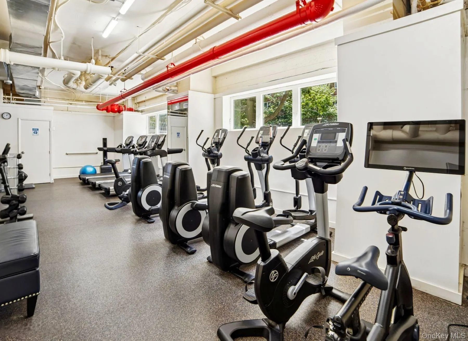 102-30 66th Road, New York, NY, 2 Bedrooms Bedrooms, 4 Rooms Rooms,1 BathroomBathrooms,Residential,For Rent,66th Road,0,1030290 102-30 66th Road, New York, NY, 2 Bedrooms Bedrooms, 4 Rooms Rooms,1 BathroomBathrooms,Residential,For Rent,66th Road,0,1030290