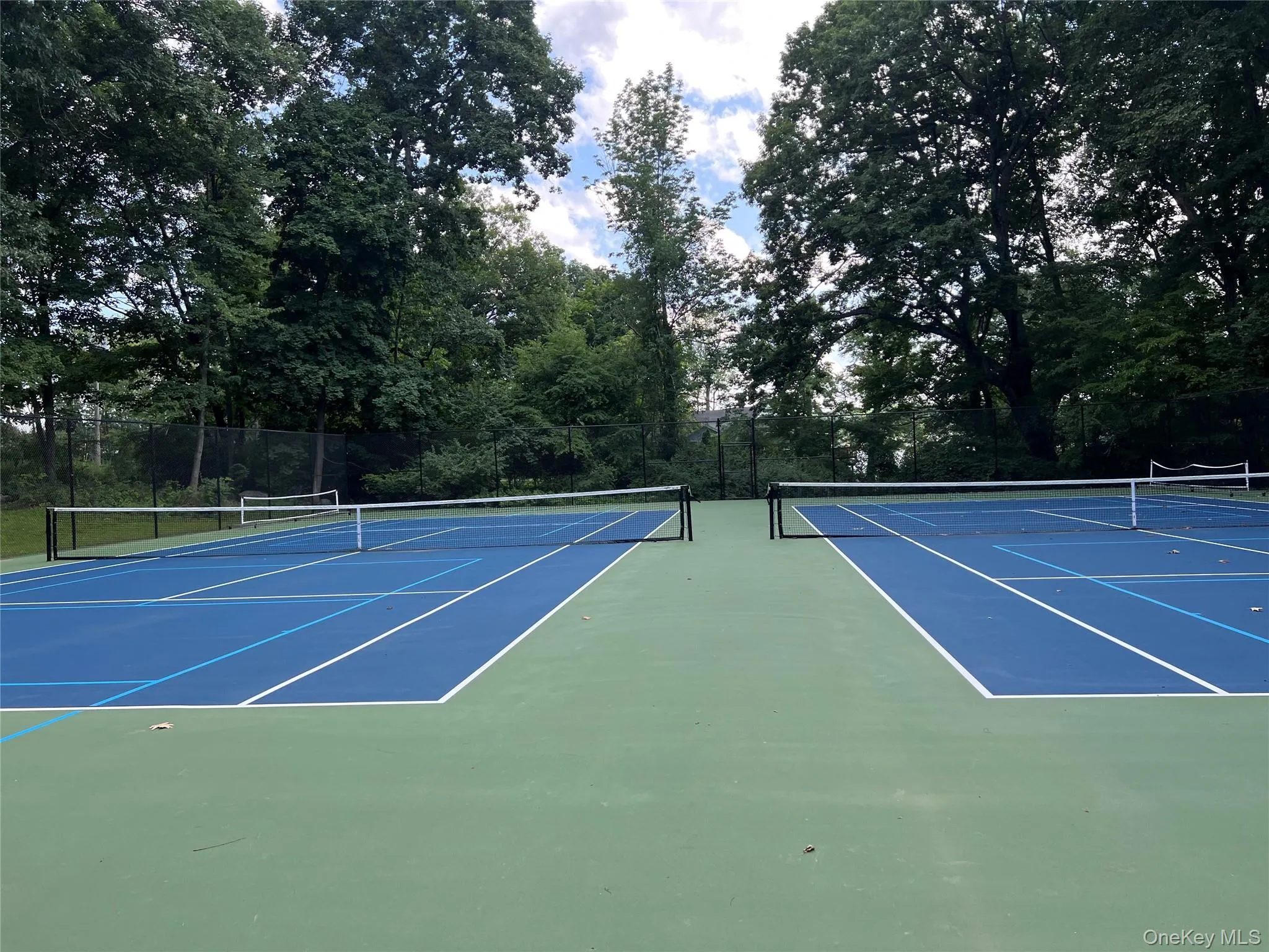 Tennis + Pickleball Courts Tennis + Pickleball Courts