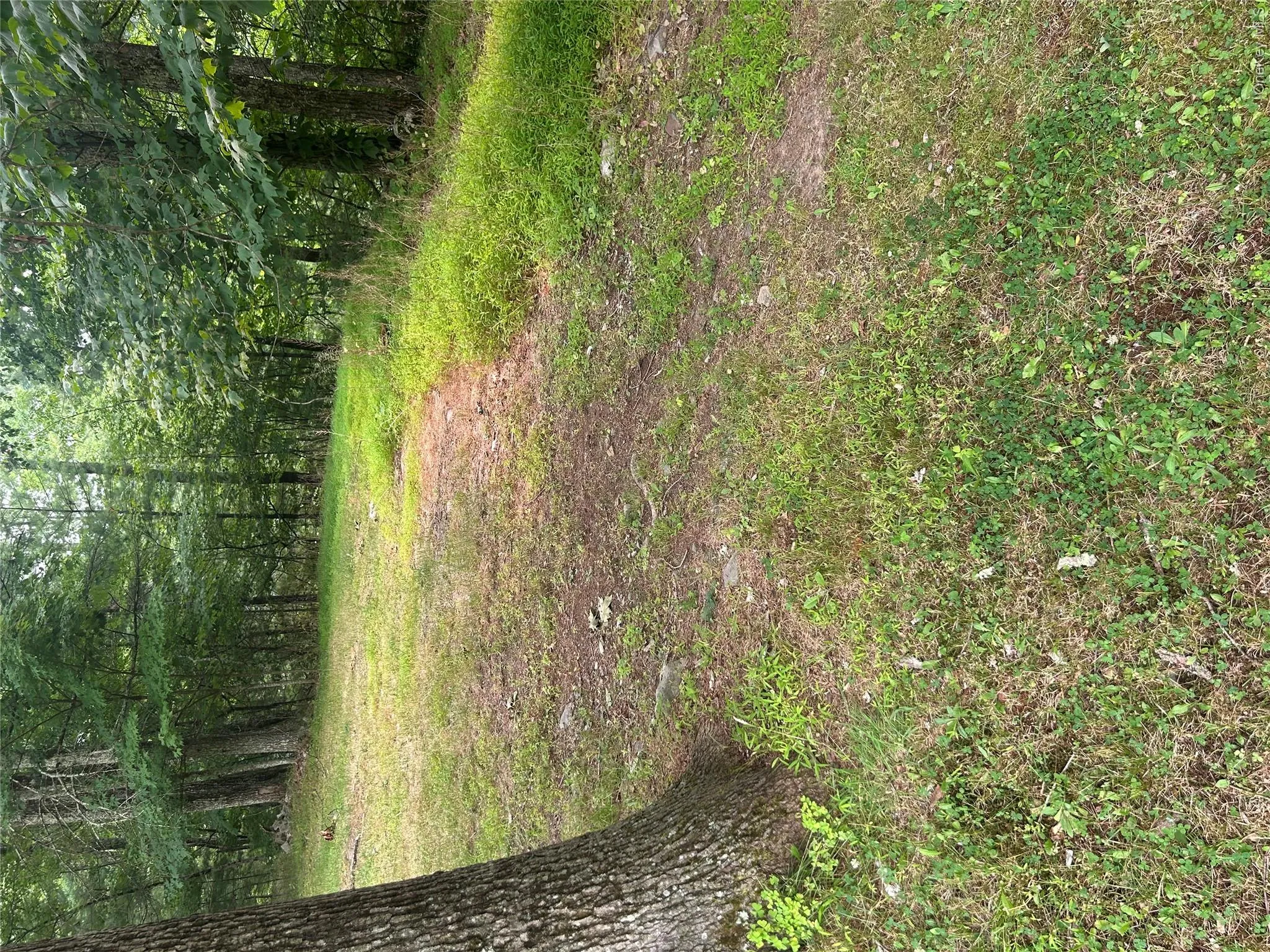 sunset Avenue, Wawarsing, NY, ,Land,For Rent,sunset,0,1030347 sunset Avenue, Wawarsing, NY, ,Land,For Rent,sunset,0,1030347