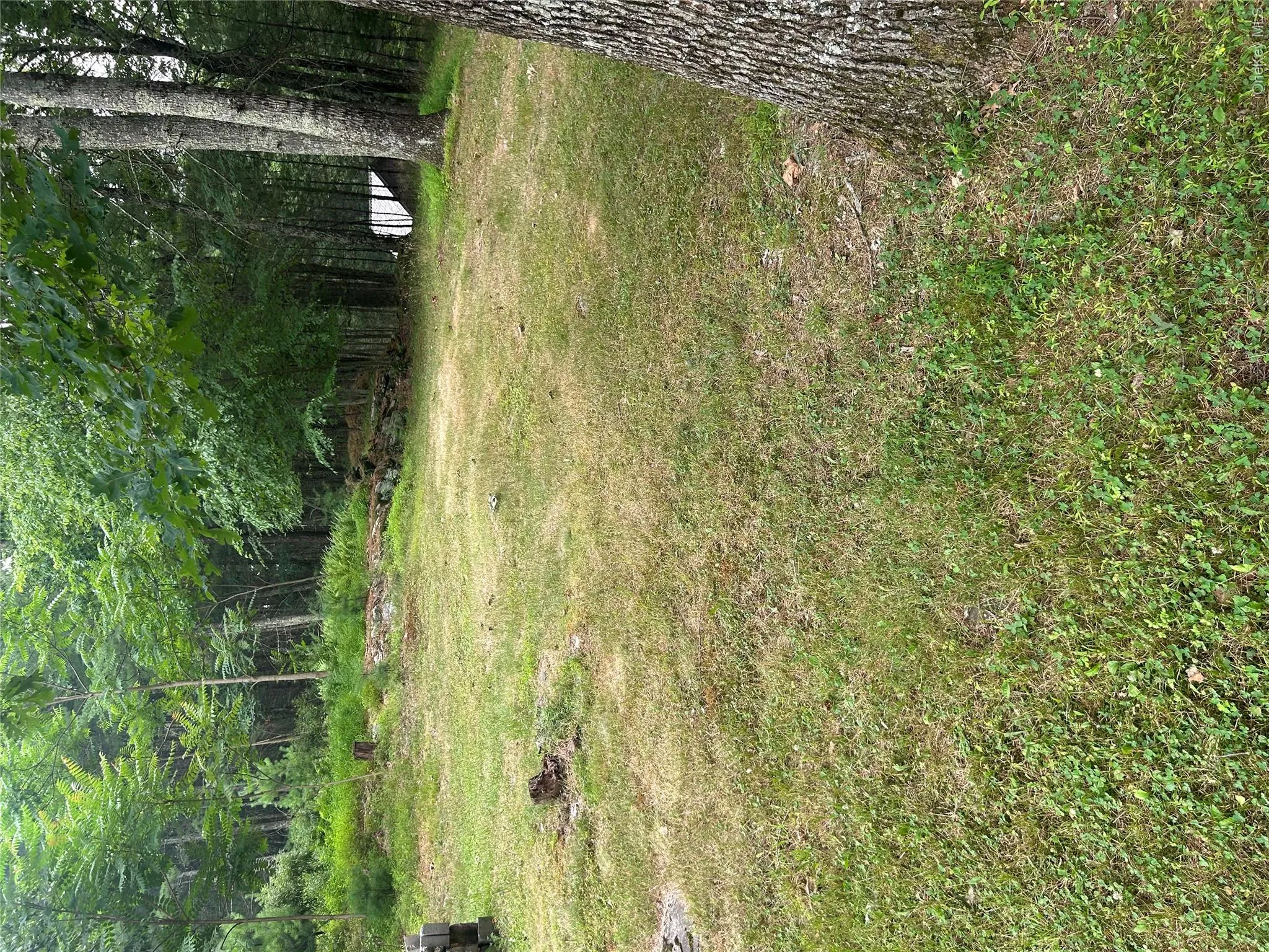 sunset Avenue, Wawarsing, NY, ,Land,For Rent,sunset,0,1030347 sunset Avenue, Wawarsing, NY, ,Land,For Rent,sunset,0,1030347