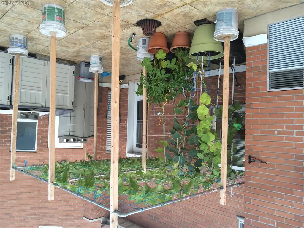 14075 Ash Avenue, New York, NY, 5 Bedrooms Bedrooms, 8 Rooms Rooms,2 BathroomsBathrooms,Residential,For Rent,Ash,0,1030362 14075 Ash Avenue, New York, NY, 5 Bedrooms Bedrooms, 8 Rooms Rooms,2 BathroomsBathrooms,Residential,For Rent,Ash,0,1030362