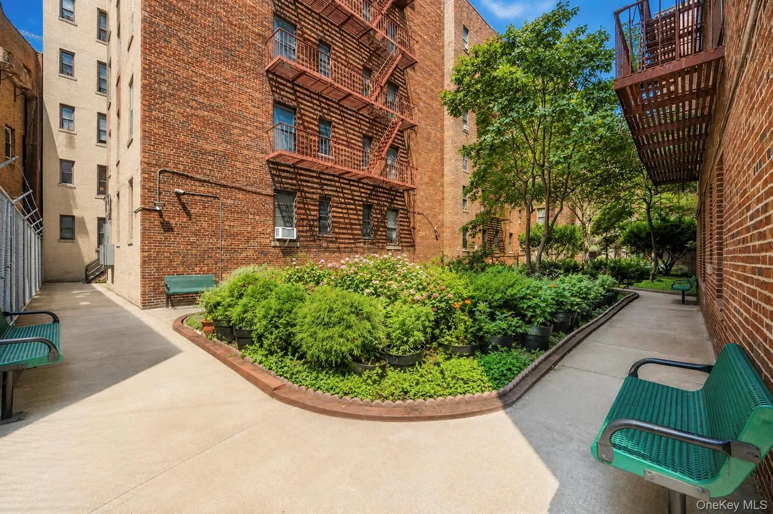 2925 Matthews Avenue, New York, NY, 1 Bedroom Bedrooms, 3 Rooms Rooms,1 BathroomBathrooms,Residential,For Rent,Matthews,0,1030365 2925 Matthews Avenue, New York, NY, 1 Bedroom Bedrooms, 3 Rooms Rooms,1 BathroomBathrooms,Residential,For Rent,Matthews,0,1030365