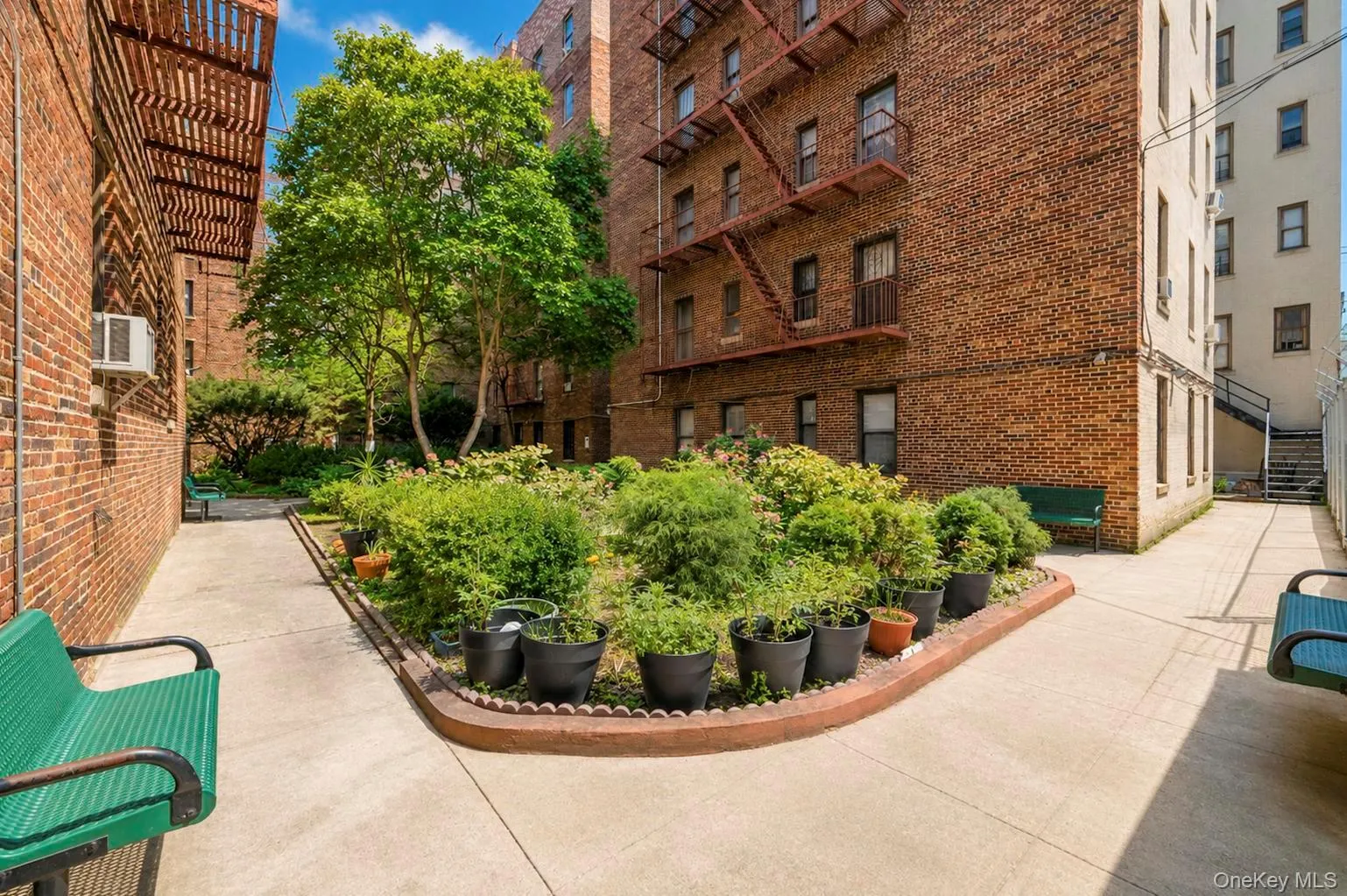 2925 Matthews Avenue, New York, NY, 1 Bedroom Bedrooms, 3 Rooms Rooms,1 BathroomBathrooms,Residential,For Rent,Matthews,0,1030365 2925 Matthews Avenue, New York, NY, 1 Bedroom Bedrooms, 3 Rooms Rooms,1 BathroomBathrooms,Residential,For Rent,Matthews,0,1030365
