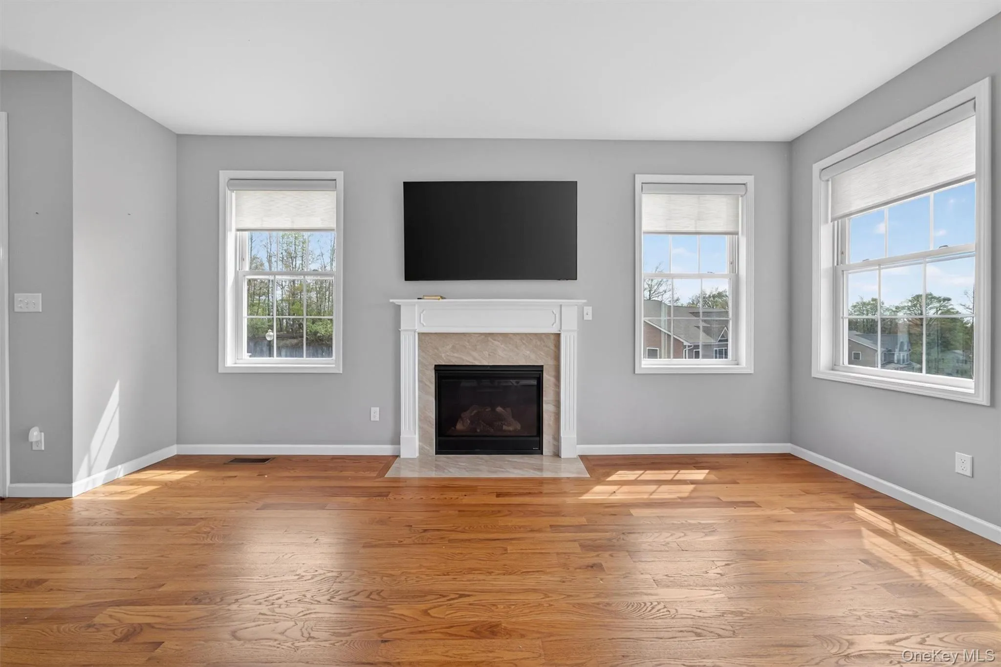 Gas Fireplace Gas Fireplace