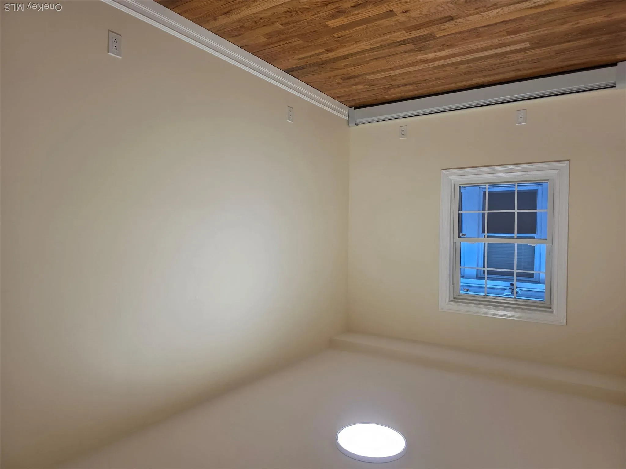91-12 Park Lane, New York, NY, 3 Bedrooms Bedrooms, 5 Rooms Rooms,2 BathroomsBathrooms,Residential Lease,For Rent,Park,0,1030430 91-12 Park Lane, New York, NY, 3 Bedrooms Bedrooms, 5 Rooms Rooms,2 BathroomsBathrooms,Residential Lease,For Rent,Park,0,1030430