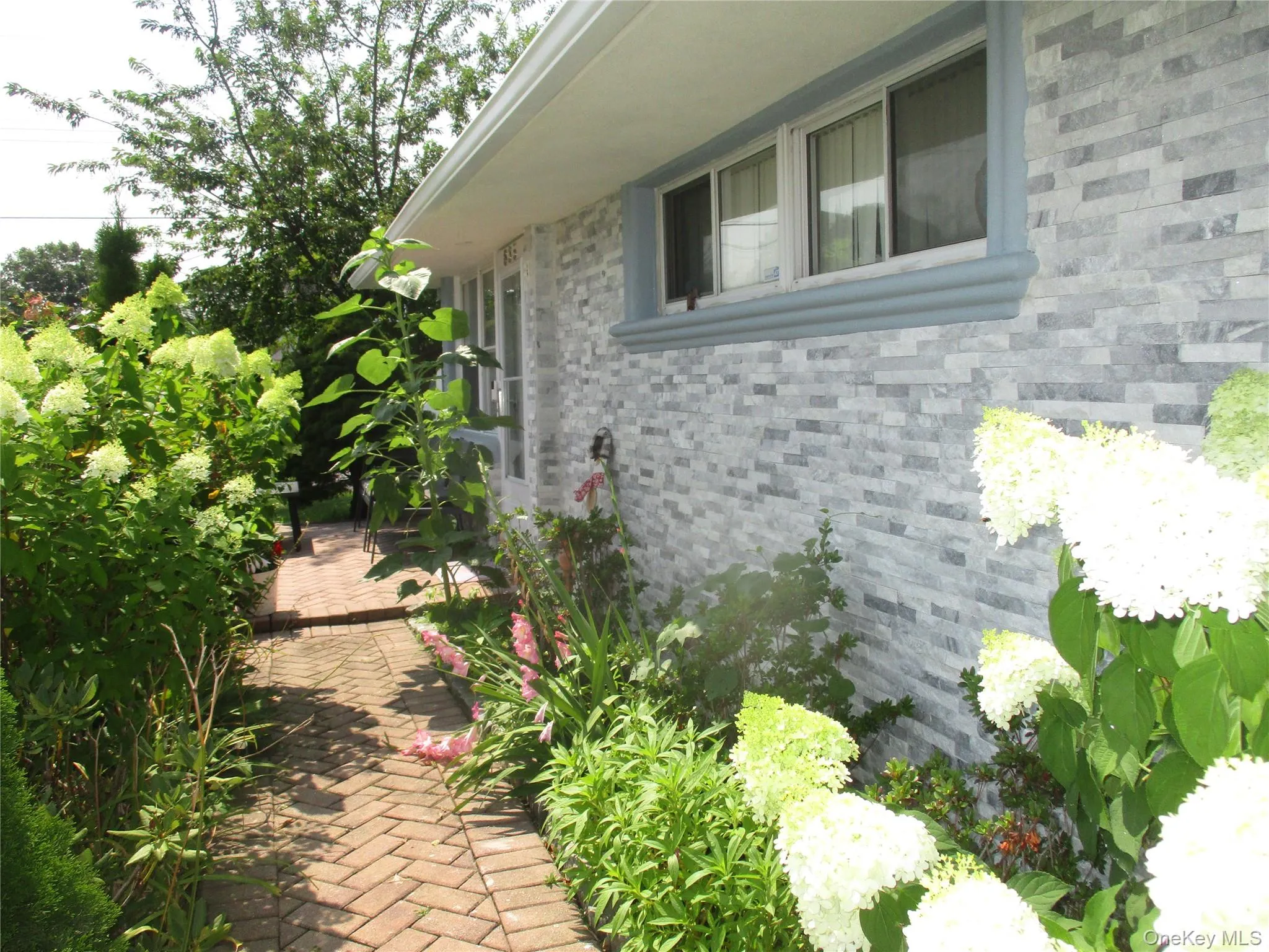 front of entrance of the house front of entrance of the house