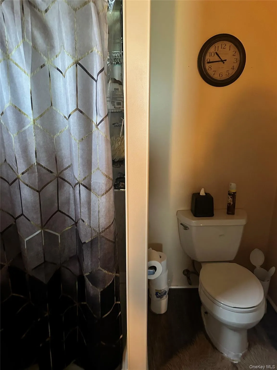 lower level full bath lower level full bath