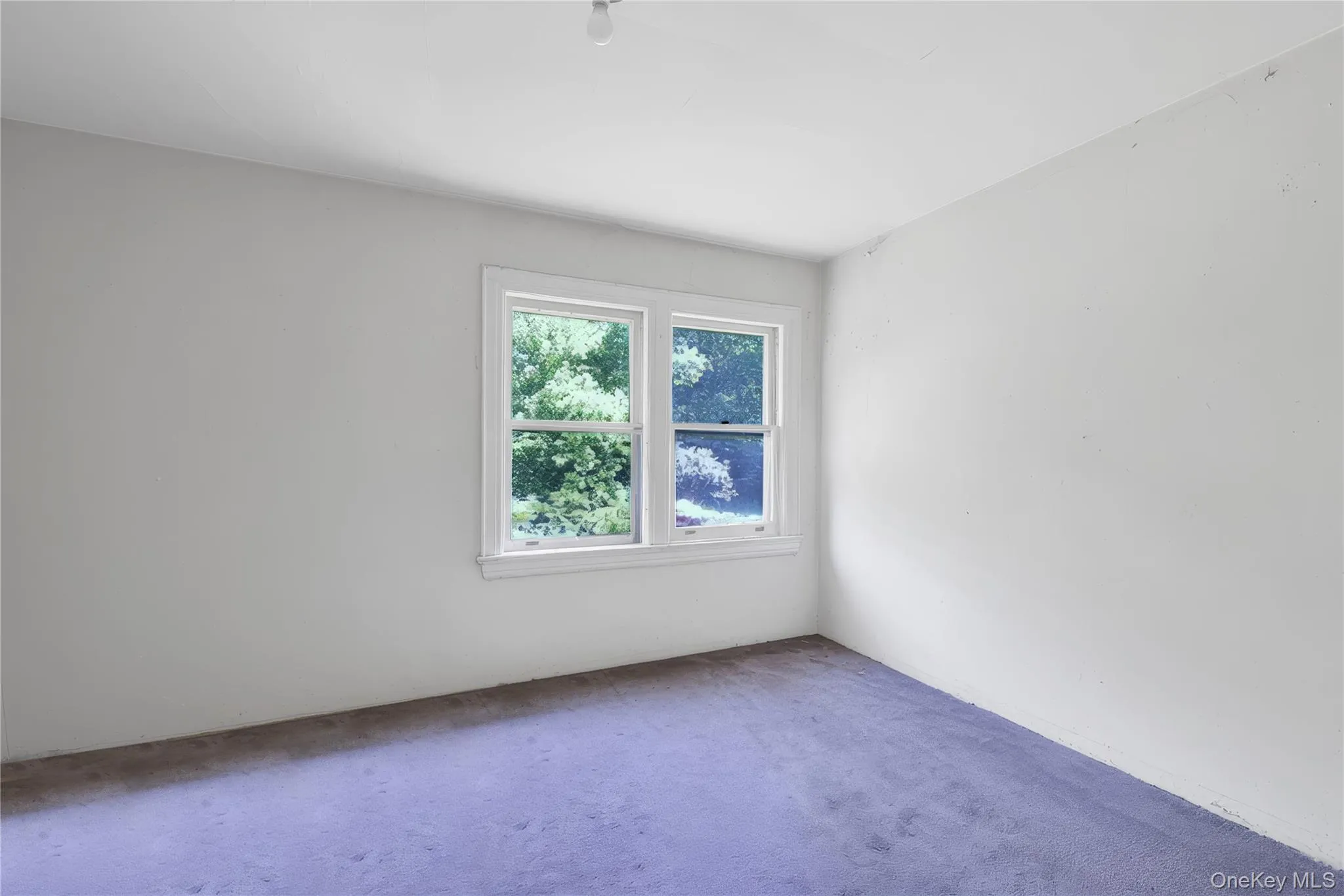 14 Clover Drive, North Hempstead, NY, 4 Bedrooms Bedrooms, 10 Rooms Rooms,2 BathroomsBathrooms,Residential,For Rent,Clover,0,1030494 14 Clover Drive, North Hempstead, NY, 4 Bedrooms Bedrooms, 10 Rooms Rooms,2 BathroomsBathrooms,Residential,For Rent,Clover,0,1030494