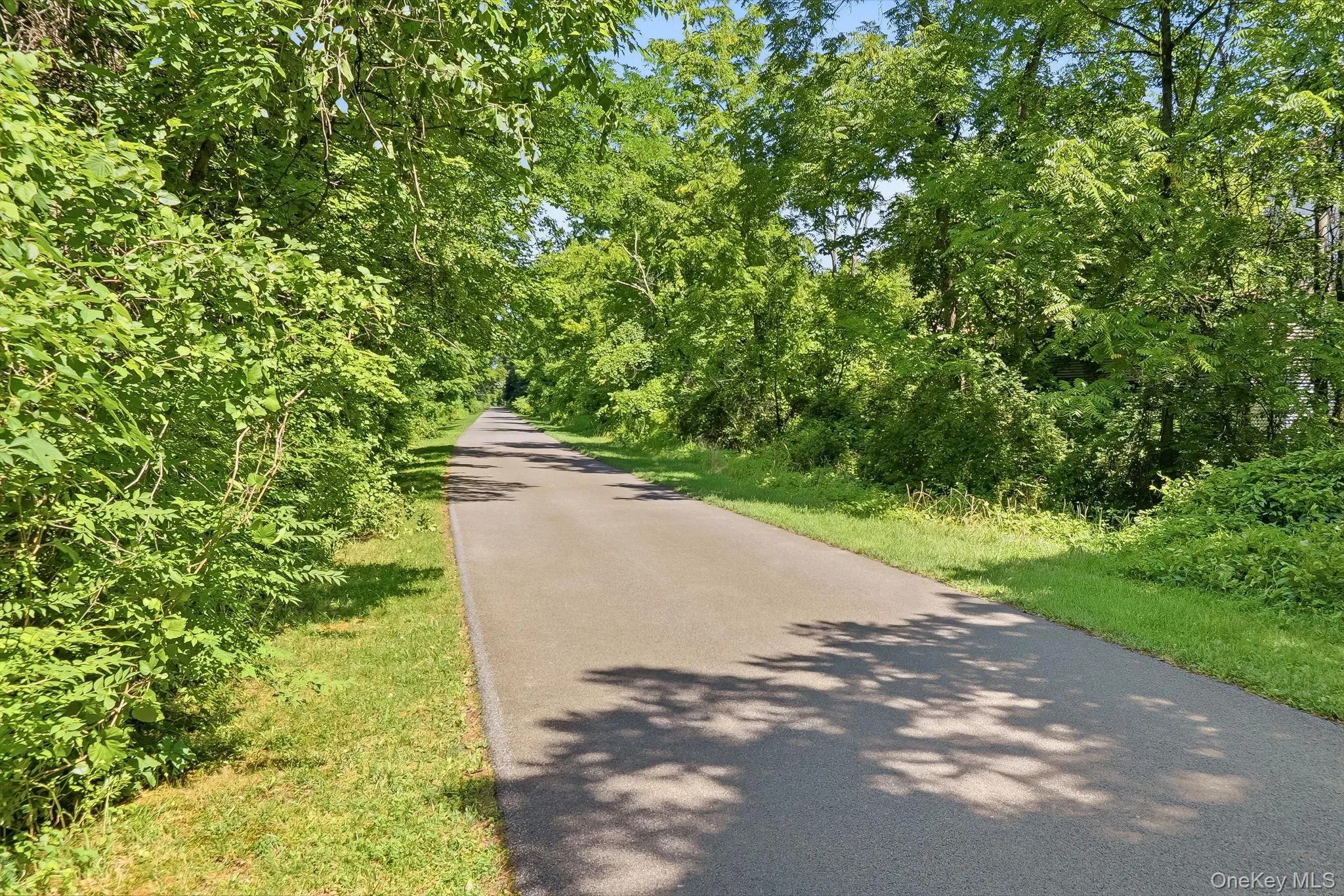 3 Ireland Drive, Poughkeepsie (town), NY, 4 Bedrooms Bedrooms, 12 Rooms Rooms,2 BathroomsBathrooms,Residential,For Rent,Ireland,0,1030526 3 Ireland Drive, Poughkeepsie (town), NY, 4 Bedrooms Bedrooms, 12 Rooms Rooms,2 BathroomsBathrooms,Residential,For Rent,Ireland,0,1030526