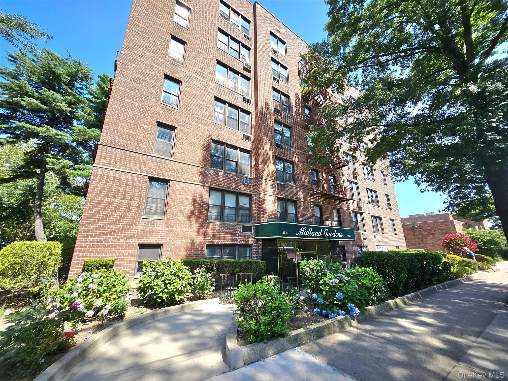 87-01 Midland Parkway, New York, NY, 2 Rooms Rooms,1 BathroomBathrooms,Residential,For Rent,Midland,0,1030534 87-01 Midland Parkway, New York, NY, 2 Rooms Rooms,1 BathroomBathrooms,Residential,For Rent,Midland,0,1030534