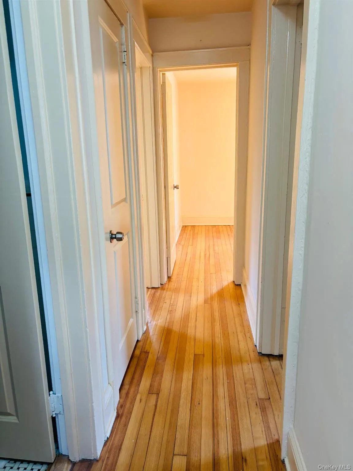 29 Roosevelt Street, Glen Cove, NY, 3 Bedrooms Bedrooms, 6 Rooms Rooms,1 BathroomBathrooms,Residential,For Rent,Roosevelt,0,1030544 29 Roosevelt Street, Glen Cove, NY, 3 Bedrooms Bedrooms, 6 Rooms Rooms,1 BathroomBathrooms,Residential,For Rent,Roosevelt,0,1030544