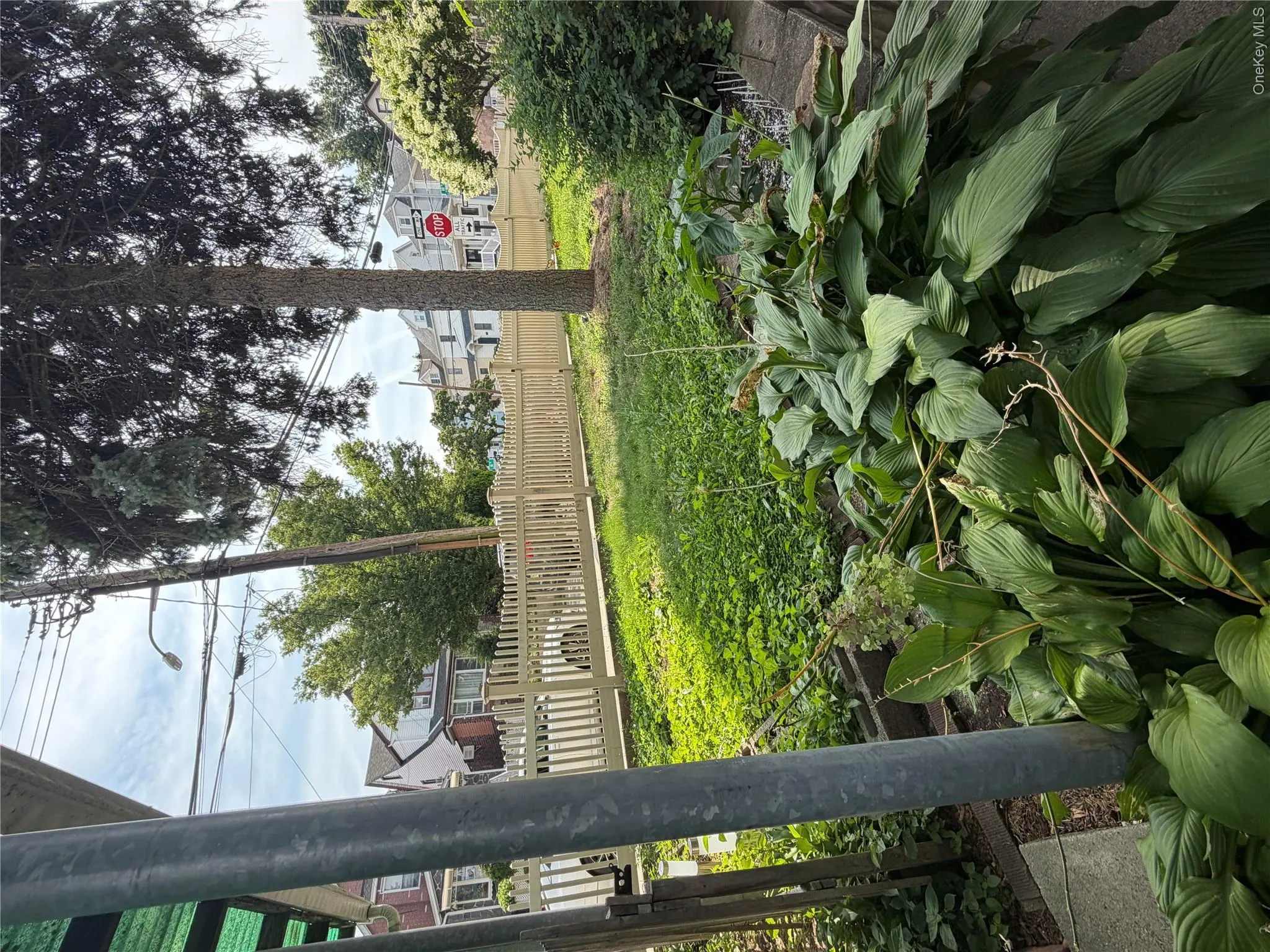 6069 80th Avenue, New York, NY, 5 Bedrooms Bedrooms, 8 Rooms Rooms,2 BathroomsBathrooms,Residential,For Rent,80th,0,1030558 6069 80th Avenue, New York, NY, 5 Bedrooms Bedrooms, 8 Rooms Rooms,2 BathroomsBathrooms,Residential,For Rent,80th,0,1030558