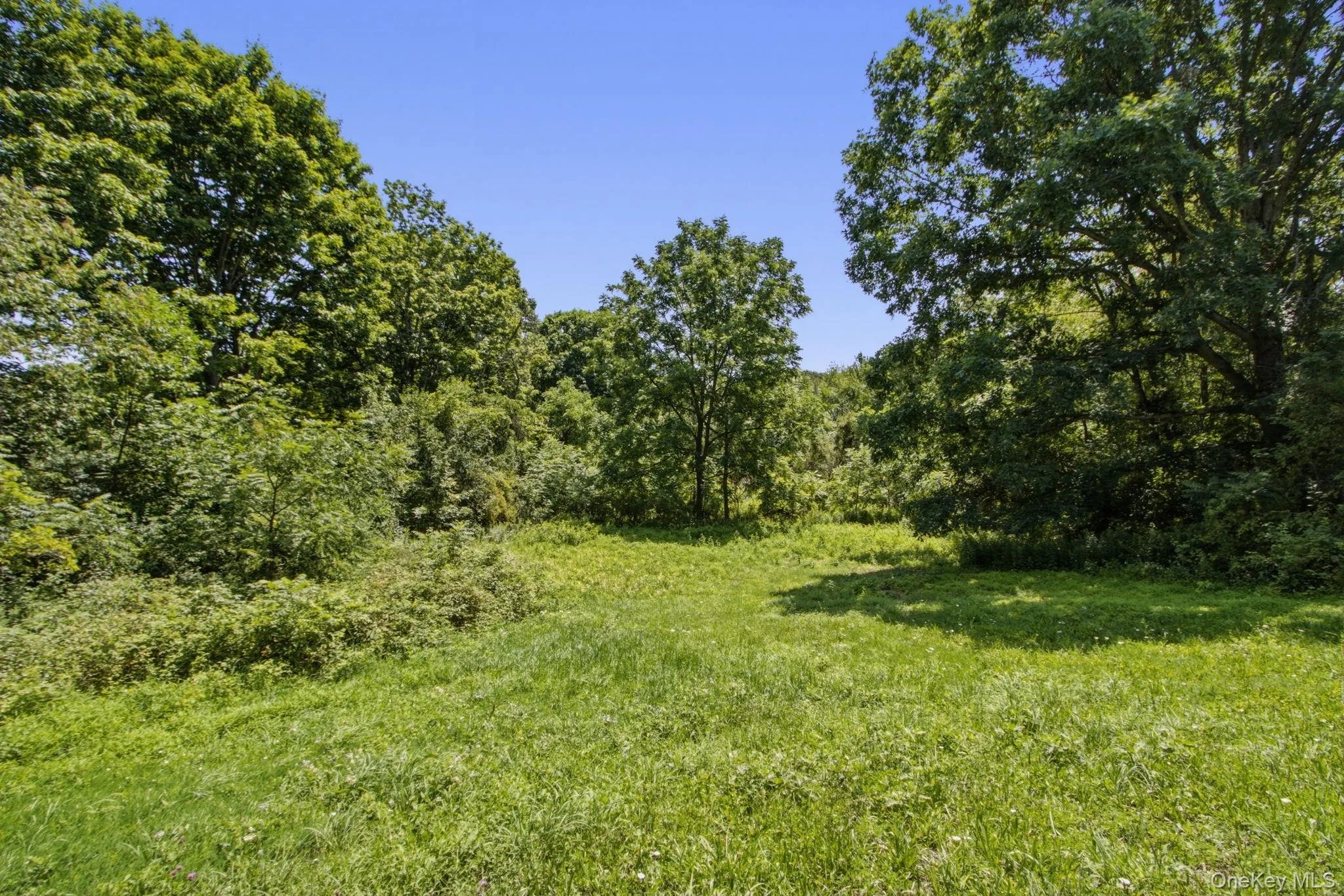 83 Smith Road, La Grange, NY, 4 Bedrooms Bedrooms, 12 Rooms Rooms,4 BathroomsBathrooms,Residential,For Rent,Smith,0,1030561 83 Smith Road, La Grange, NY, 4 Bedrooms Bedrooms, 12 Rooms Rooms,4 BathroomsBathrooms,Residential,For Rent,Smith,0,1030561