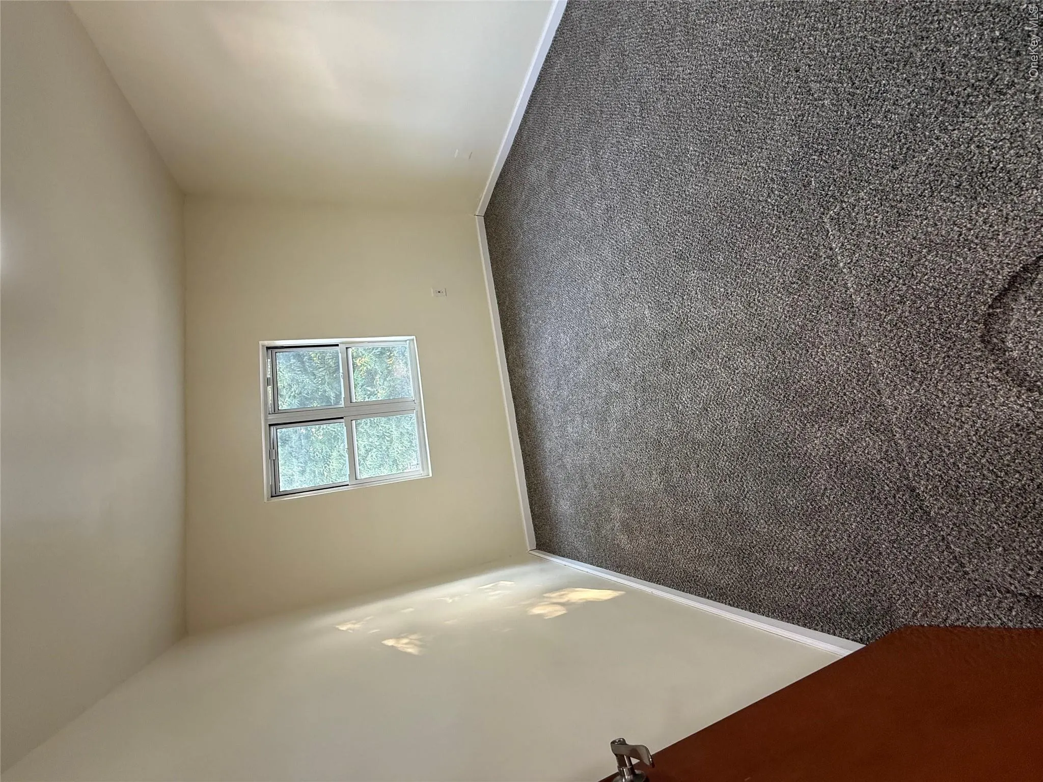 2000 Bogart Ave, New York, NY, 3 Bedrooms Bedrooms, 5 Rooms Rooms,1 BathroomBathrooms,Residential Lease,For Rent,Bogart Ave,0,1030584 2000 Bogart Ave, New York, NY, 3 Bedrooms Bedrooms, 5 Rooms Rooms,1 BathroomBathrooms,Residential Lease,For Rent,Bogart Ave,0,1030584