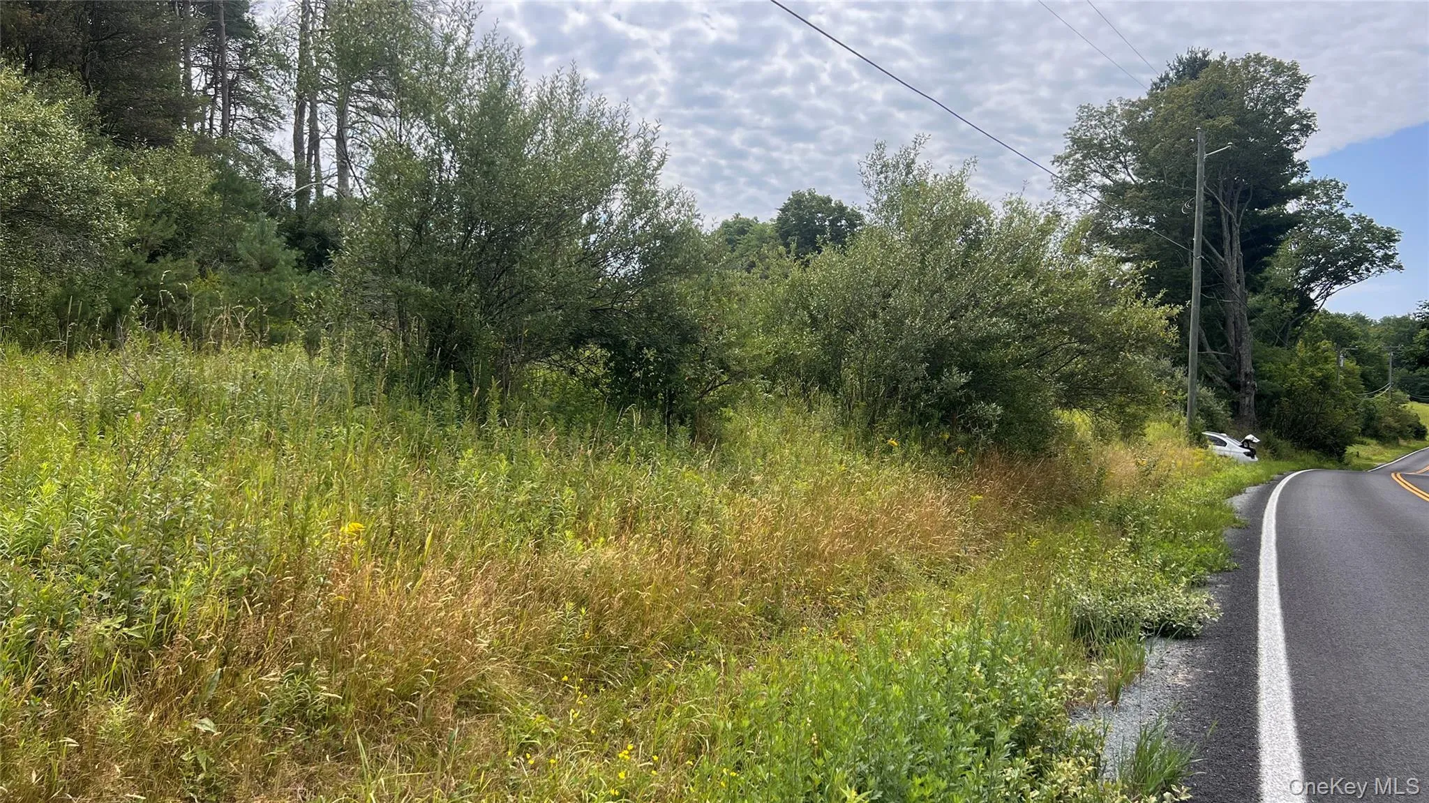 Horseshoe Lake Road, Bethel, NY, ,Land,For Rent,Horseshoe Lake,0,1030590 Horseshoe Lake Road, Bethel, NY, ,Land,For Rent,Horseshoe Lake,0,1030590
