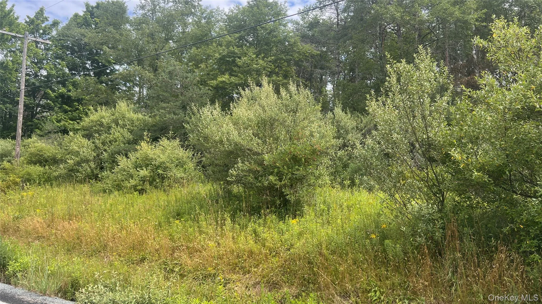 Horseshoe Lake Road, Bethel, NY, ,Land,For Rent,Horseshoe Lake,0,1030590 Horseshoe Lake Road, Bethel, NY, ,Land,For Rent,Horseshoe Lake,0,1030590
