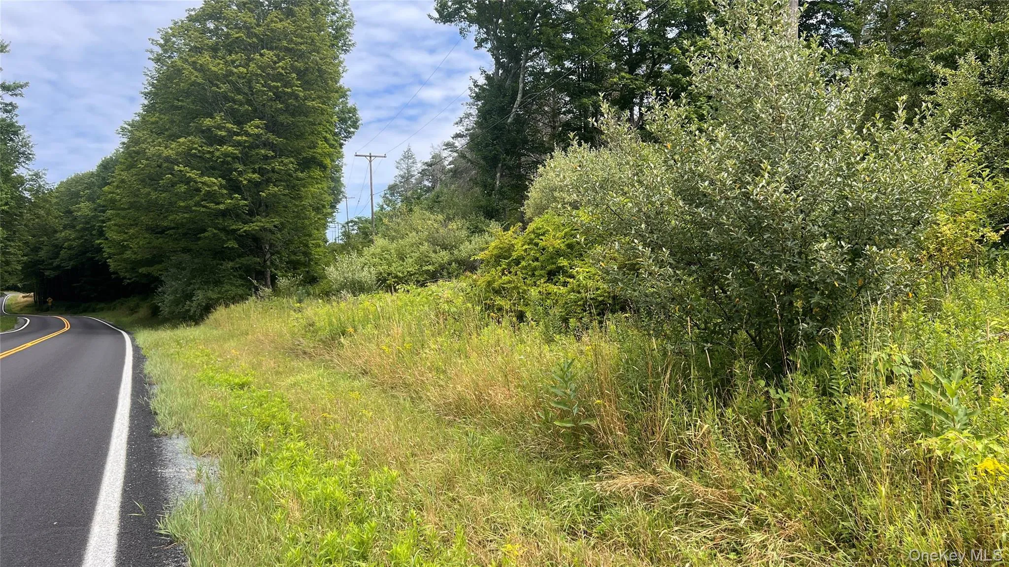 Horseshoe Lake Road, Bethel, NY, ,Land,For Rent,Horseshoe Lake,0,1030590 Horseshoe Lake Road, Bethel, NY, ,Land,For Rent,Horseshoe Lake,0,1030590