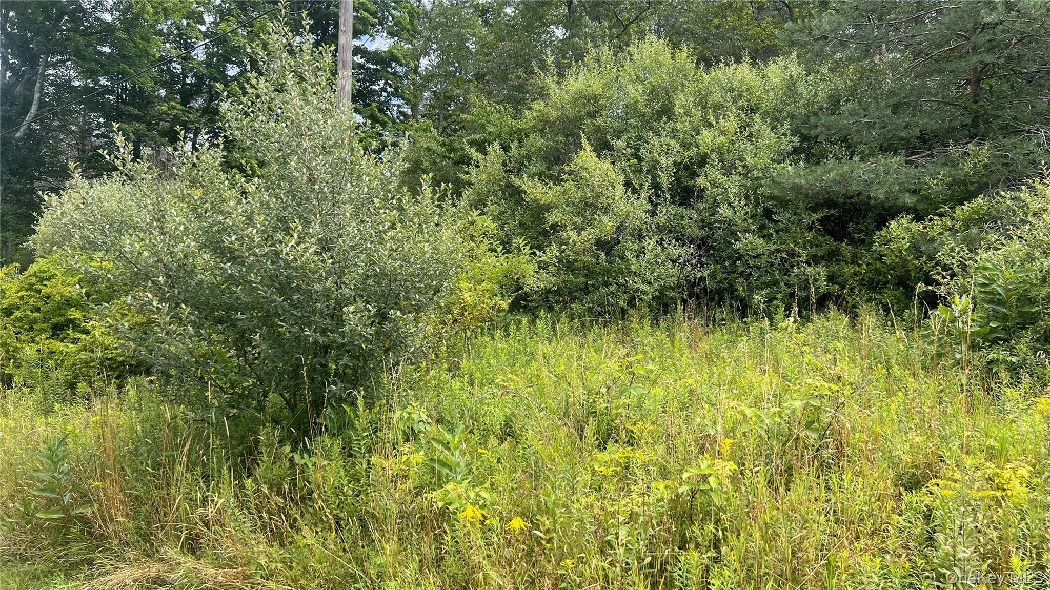 Horseshoe Lake Road, Bethel, NY, ,Land,For Rent,Horseshoe Lake,0,1030590 Horseshoe Lake Road, Bethel, NY, ,Land,For Rent,Horseshoe Lake,0,1030590