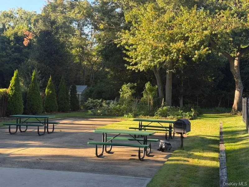 Picnic and BBQ area Picnic and BBQ area