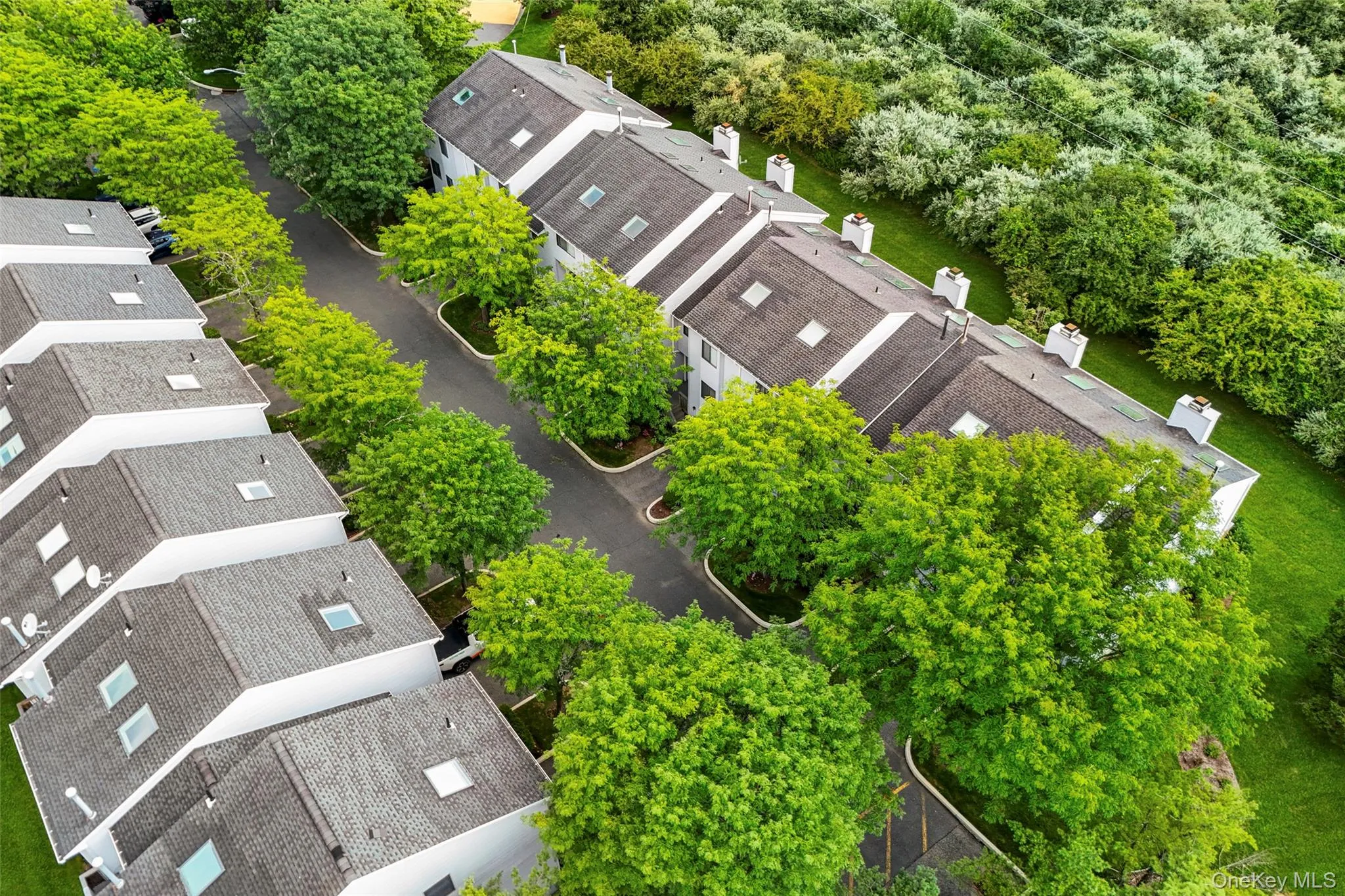 Rich greenery, mature trees & exquisite landscaped grounds elevate this entire community. Community/board responsible for roof, skylights, siding & grounds including snow removal & trash removal. Rich greenery, mature trees & exquisite landscaped grounds elevate this entire community. Community/board responsible for roof, skylights, siding & grounds including snow removal & trash removal.