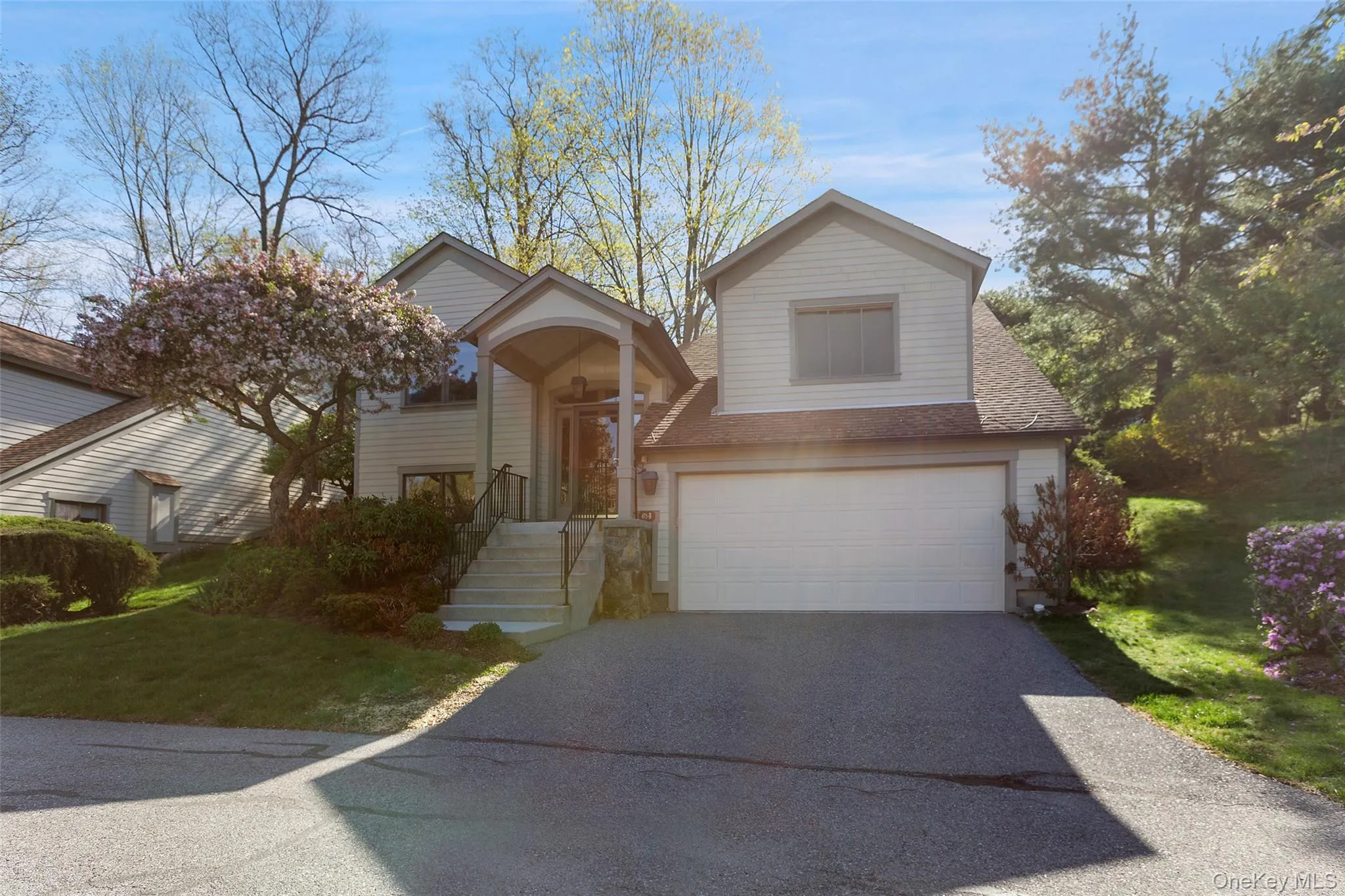 Traditional-style house with driveway, a shingled roof, and a garage Traditional-style house with driveway, a shingled roof, and a garage