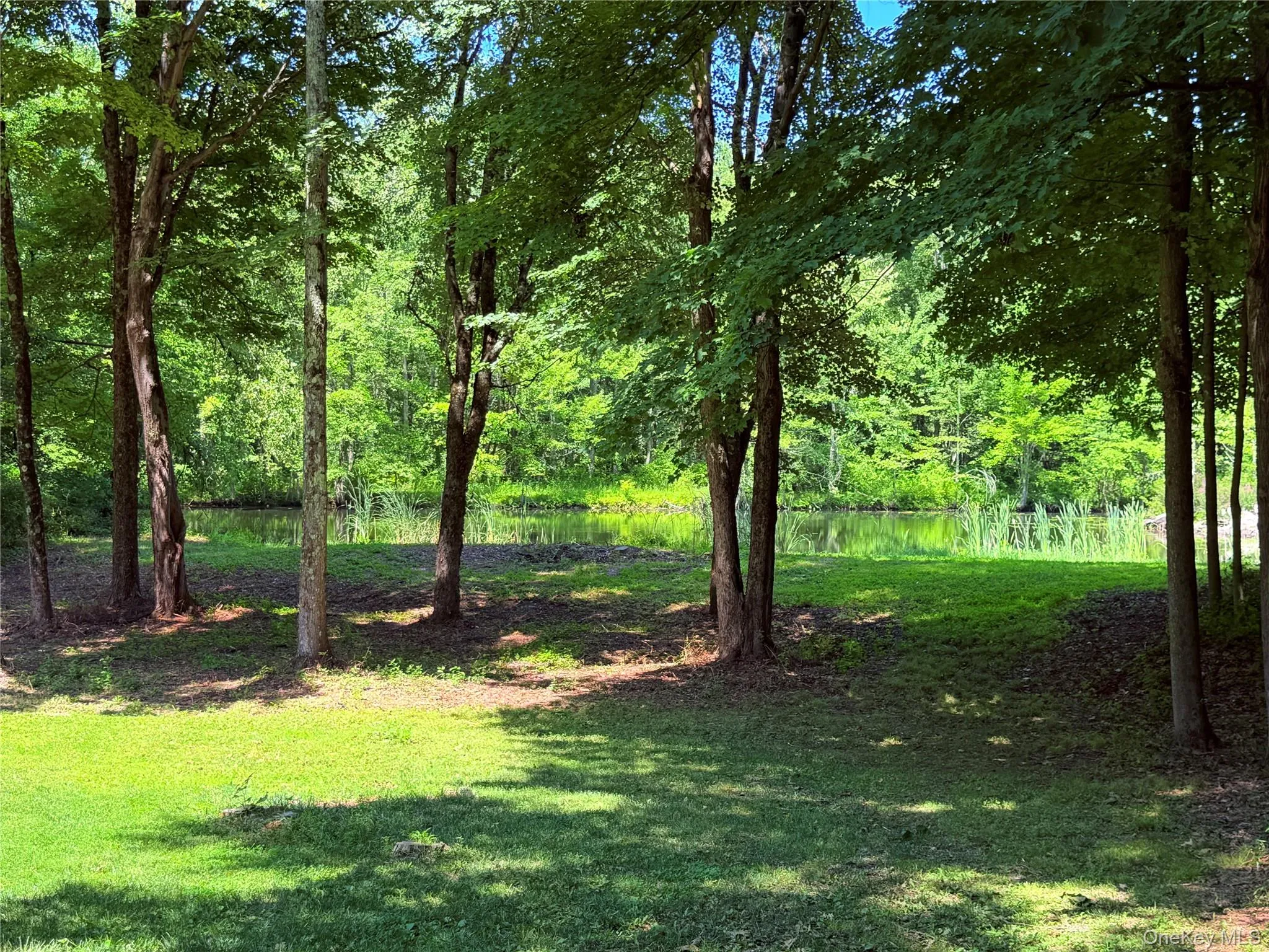 126 CARTER Road, Pleasant Valley, NY, 3 Bedrooms Bedrooms, 6 Rooms Rooms,2 BathroomsBathrooms,Residential Lease,For Rent,CARTER,0,1030647 126 CARTER Road, Pleasant Valley, NY, 3 Bedrooms Bedrooms, 6 Rooms Rooms,2 BathroomsBathrooms,Residential Lease,For Rent,CARTER,0,1030647