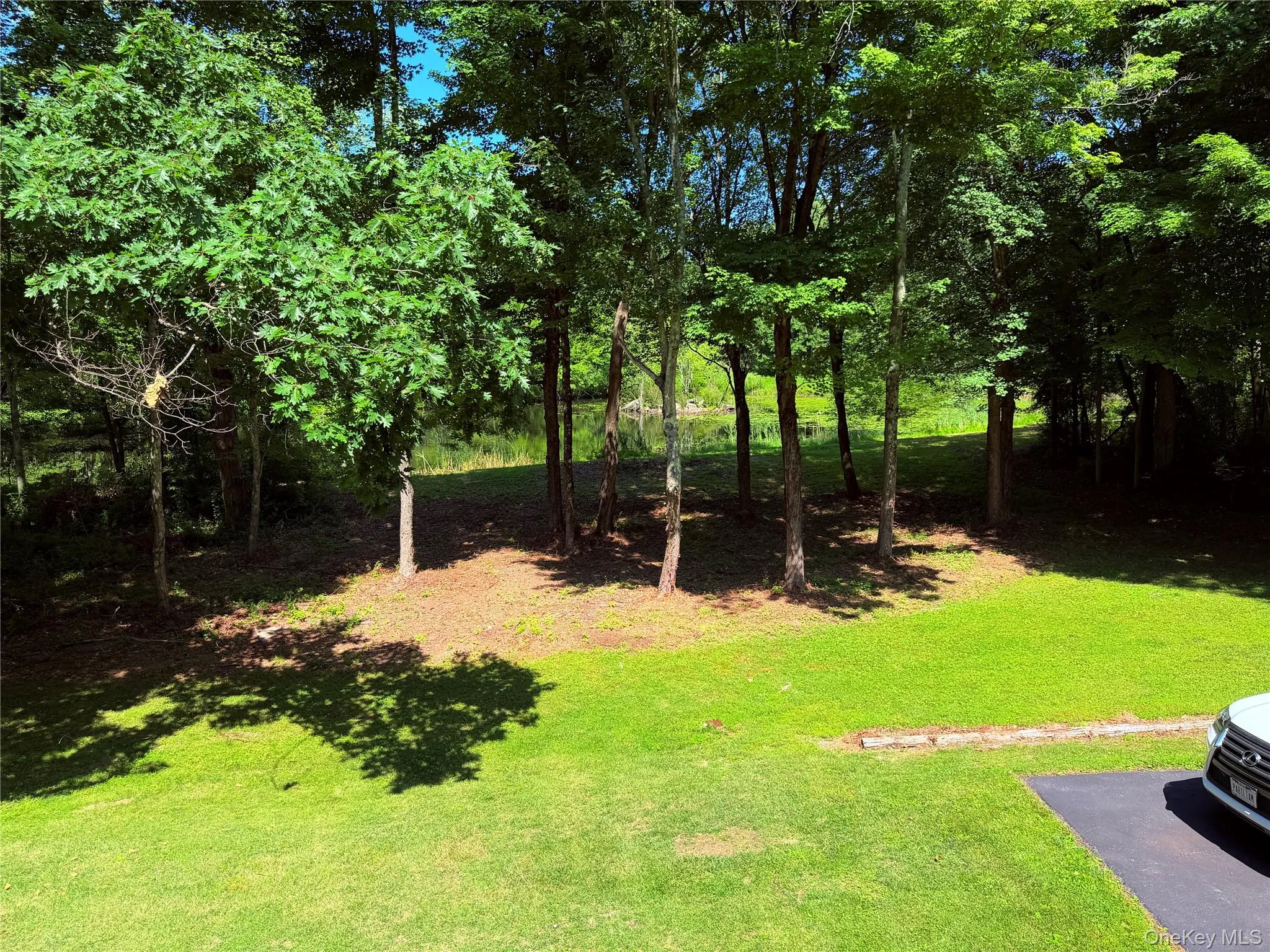 Beautiful yard with a lake view. Beautiful yard with a lake view.