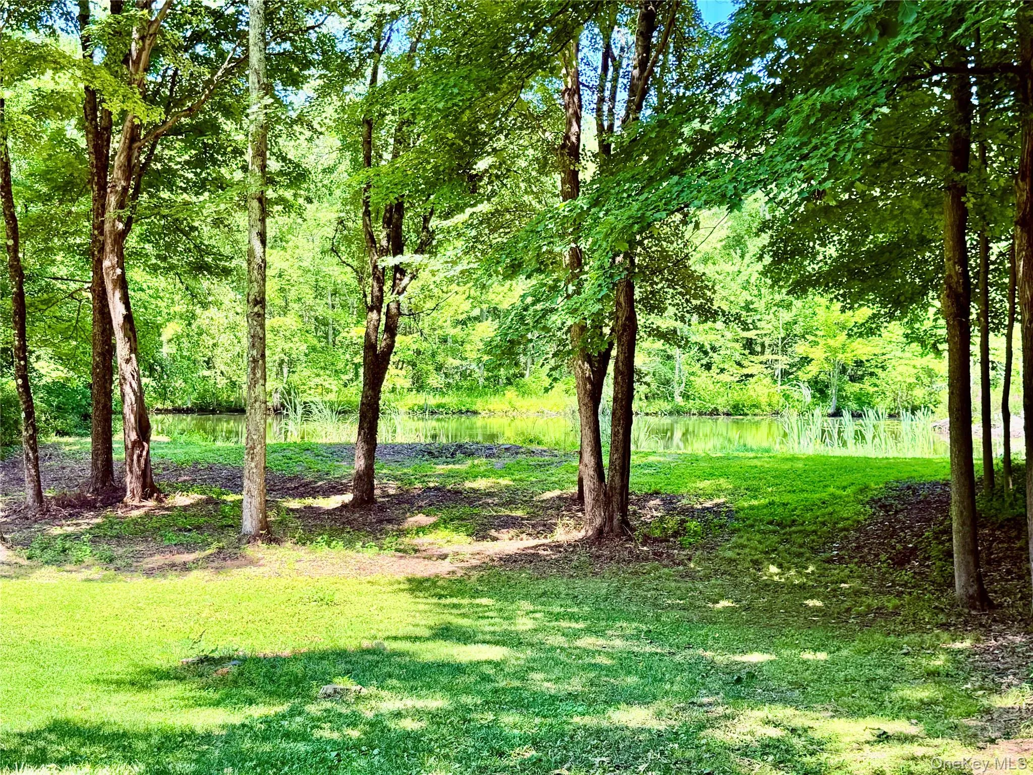 126 CARTER Road, Pleasant Valley, NY, 3 Bedrooms Bedrooms, 6 Rooms Rooms,2 BathroomsBathrooms,Residential Lease,For Rent,CARTER,0,1030647 126 CARTER Road, Pleasant Valley, NY, 3 Bedrooms Bedrooms, 6 Rooms Rooms,2 BathroomsBathrooms,Residential Lease,For Rent,CARTER,0,1030647