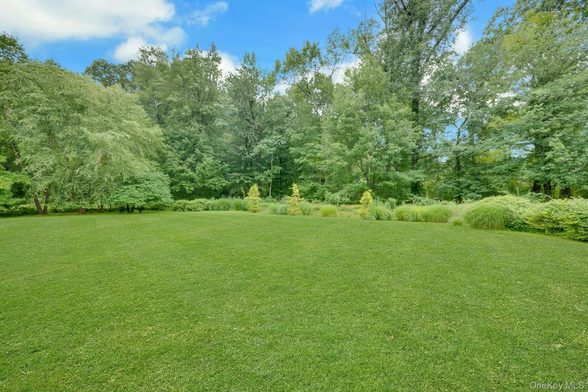 107 Holly Place, Ossining, NY, 5 Bedrooms Bedrooms, 11 Rooms Rooms,3 BathroomsBathrooms,Residential Lease,For Rent,Holly,0,1030666 107 Holly Place, Ossining, NY, 5 Bedrooms Bedrooms, 11 Rooms Rooms,3 BathroomsBathrooms,Residential Lease,For Rent,Holly,0,1030666