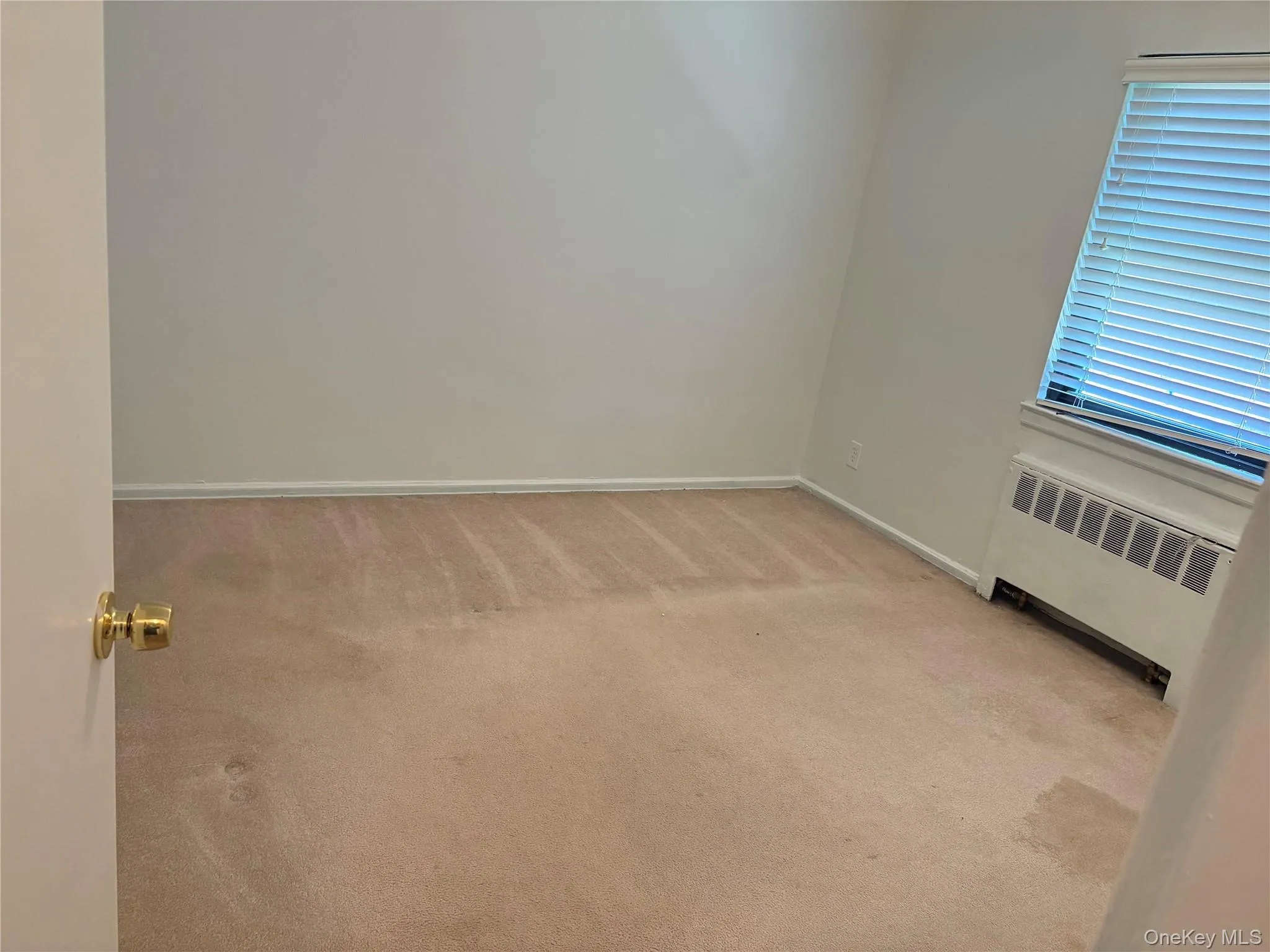 74-81 220th Street, New York, NY, 2 Bedrooms Bedrooms, 4 Rooms Rooms,1 BathroomBathrooms,Residential,For Rent,220th,0,1030726 74-81 220th Street, New York, NY, 2 Bedrooms Bedrooms, 4 Rooms Rooms,1 BathroomBathrooms,Residential,For Rent,220th,0,1030726