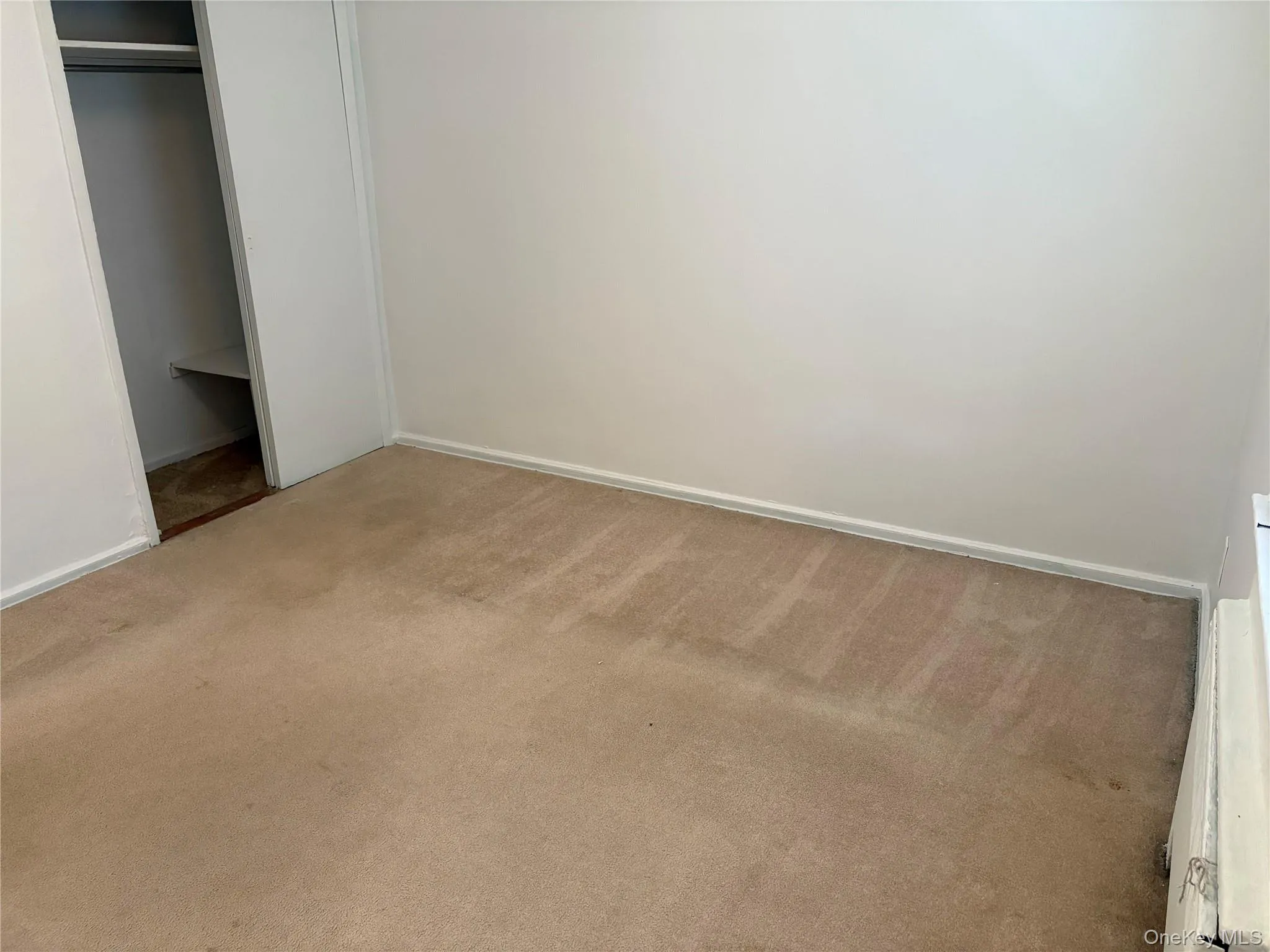 74-81 220th Street, New York, NY, 2 Bedrooms Bedrooms, 4 Rooms Rooms,1 BathroomBathrooms,Residential,For Rent,220th,0,1030726 74-81 220th Street, New York, NY, 2 Bedrooms Bedrooms, 4 Rooms Rooms,1 BathroomBathrooms,Residential,For Rent,220th,0,1030726