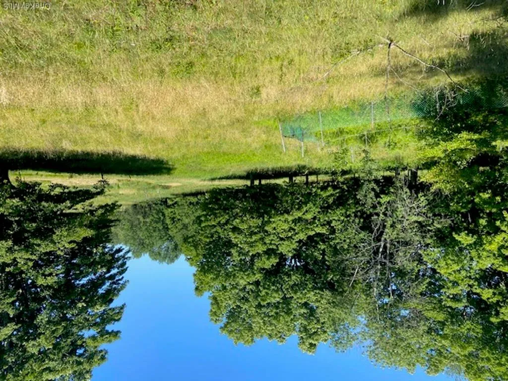 Backyard - Right Backyard - Right