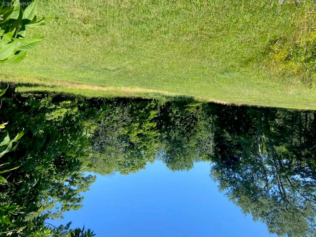Backyard - Left Backyard - Left