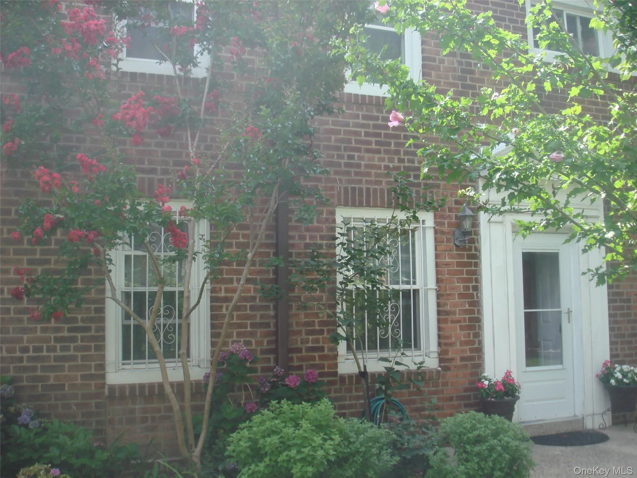 147-47 Charter Road, New York, NY, 2 Bedrooms Bedrooms, 10 Rooms Rooms,1 BathroomBathrooms,Residential,For Rent,Charter,0,1030761 147-47 Charter Road, New York, NY, 2 Bedrooms Bedrooms, 10 Rooms Rooms,1 BathroomBathrooms,Residential,For Rent,Charter,0,1030761